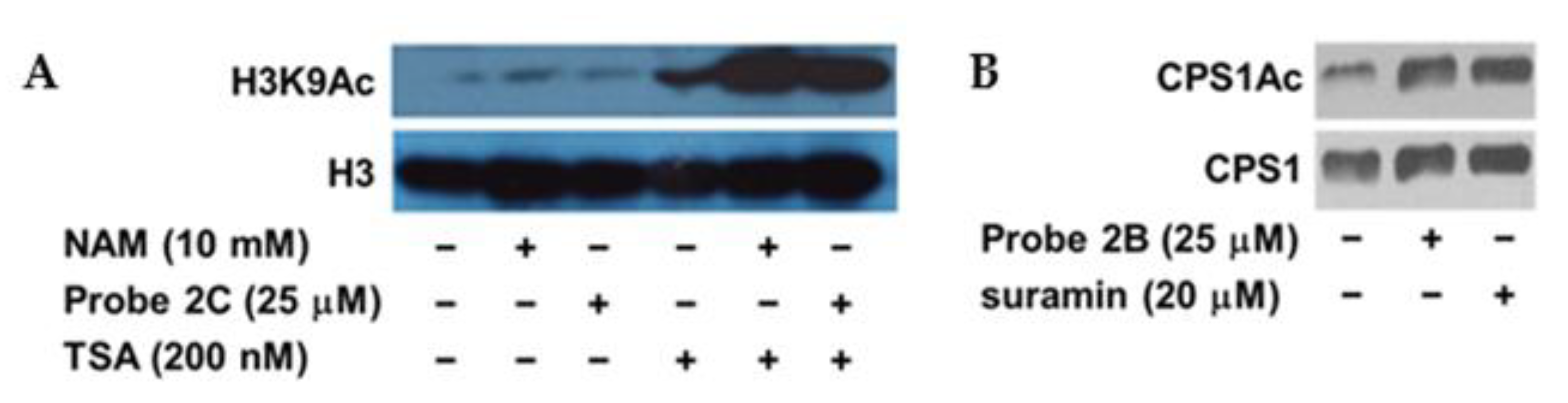 Molecules 26 00011 g006 Molecules 26 00011 g006