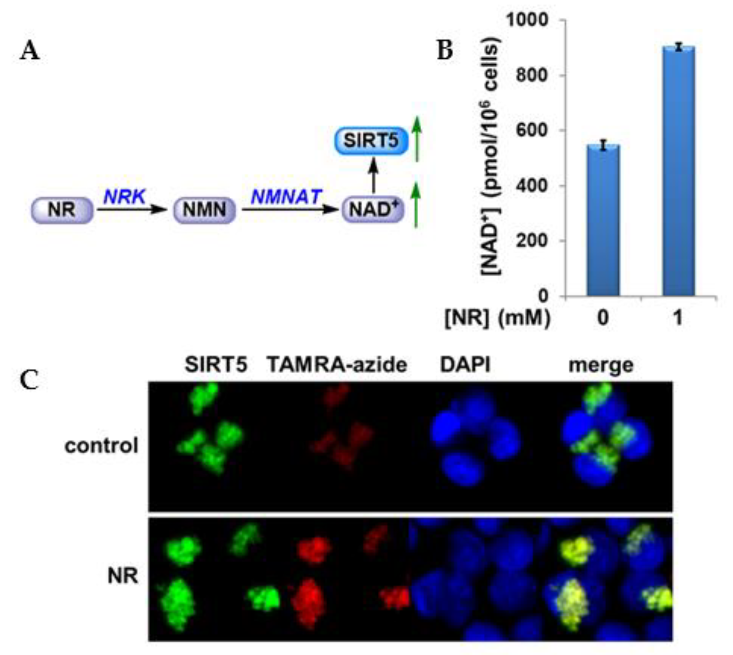 Molecules 26 00011 g007 Molecules 26 00011 g007