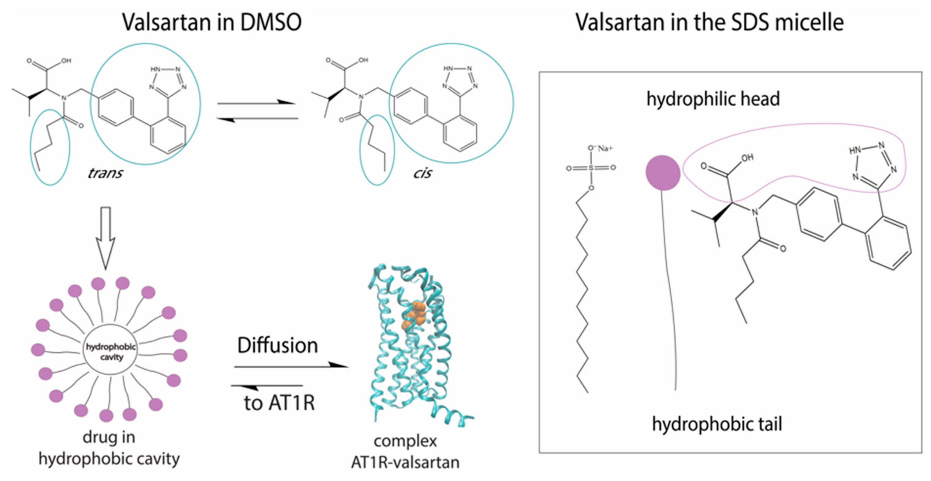 Molecules 26 00012 g002 Molecules 26 00012 g002