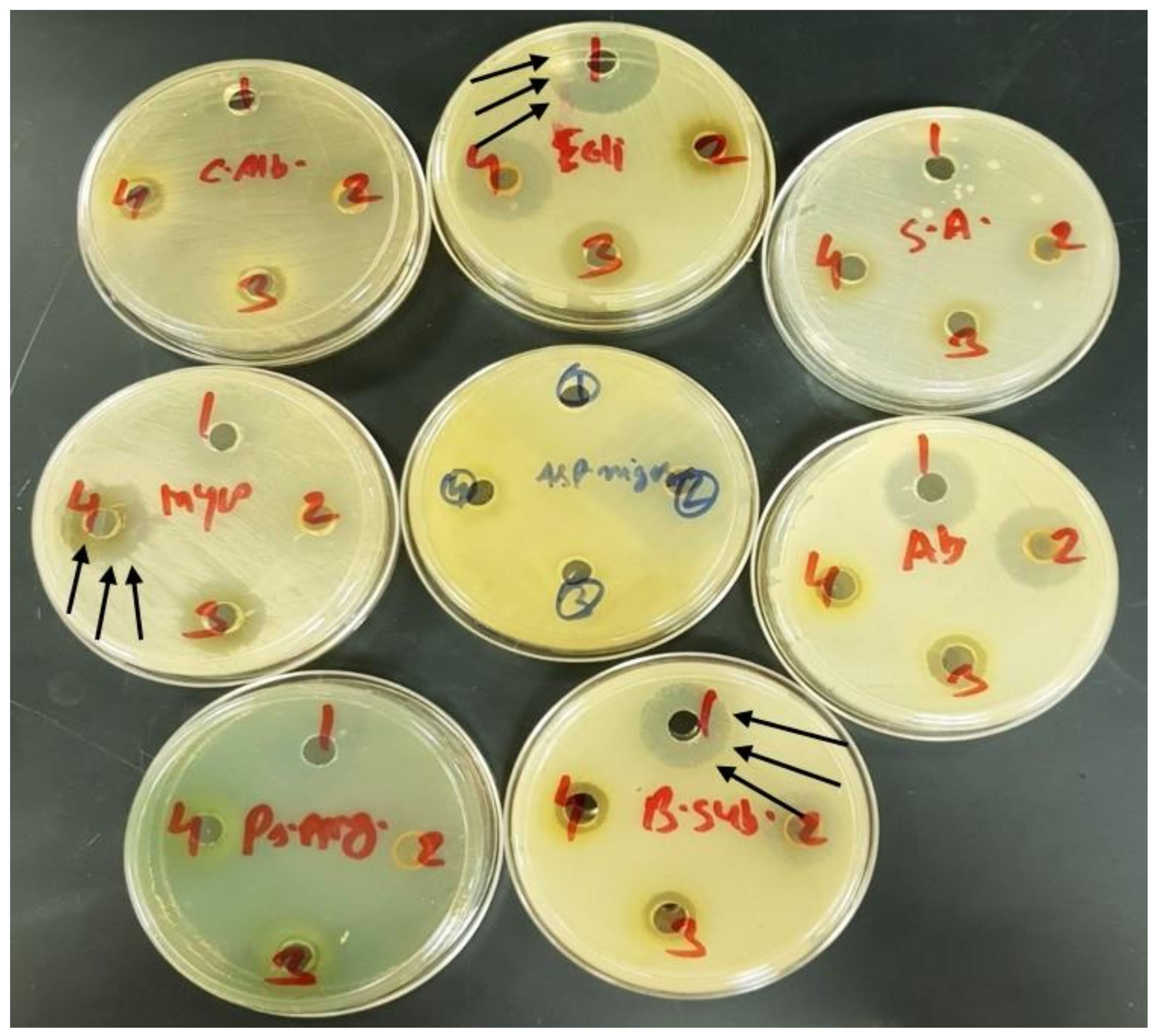 Molecules 26 00015 g008 Molecules 26 00015 g008
