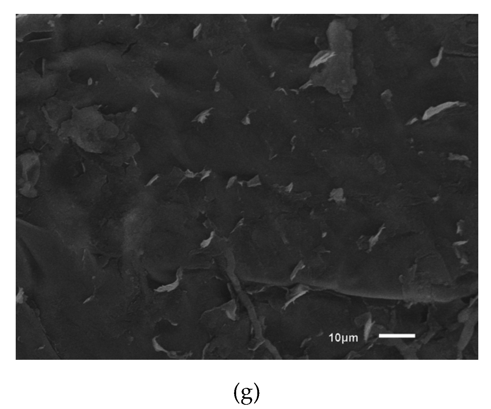 Molecules 26 00016 g004b Molecules 26 00016 g004b