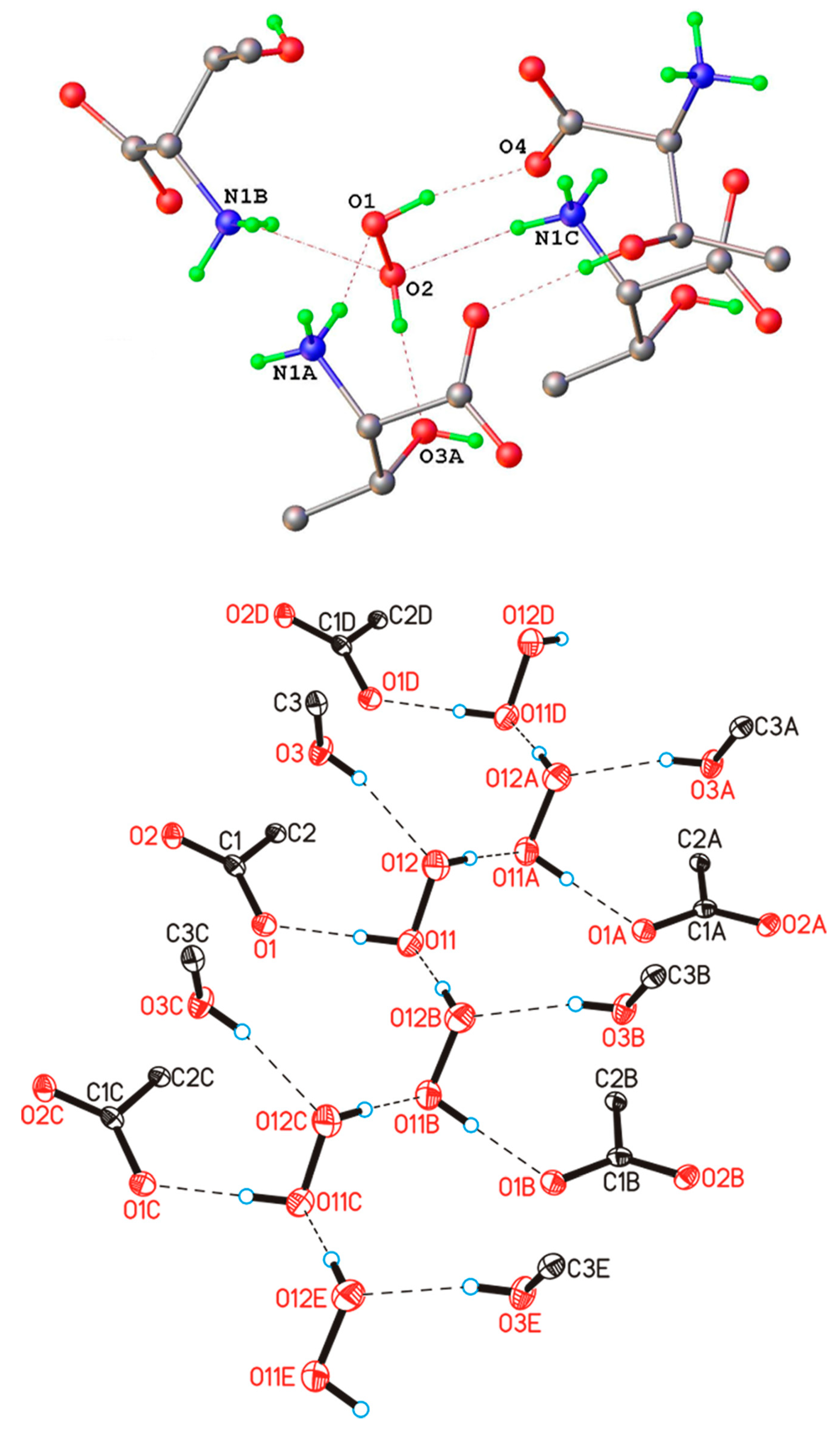 Molecules 26 00026 g010