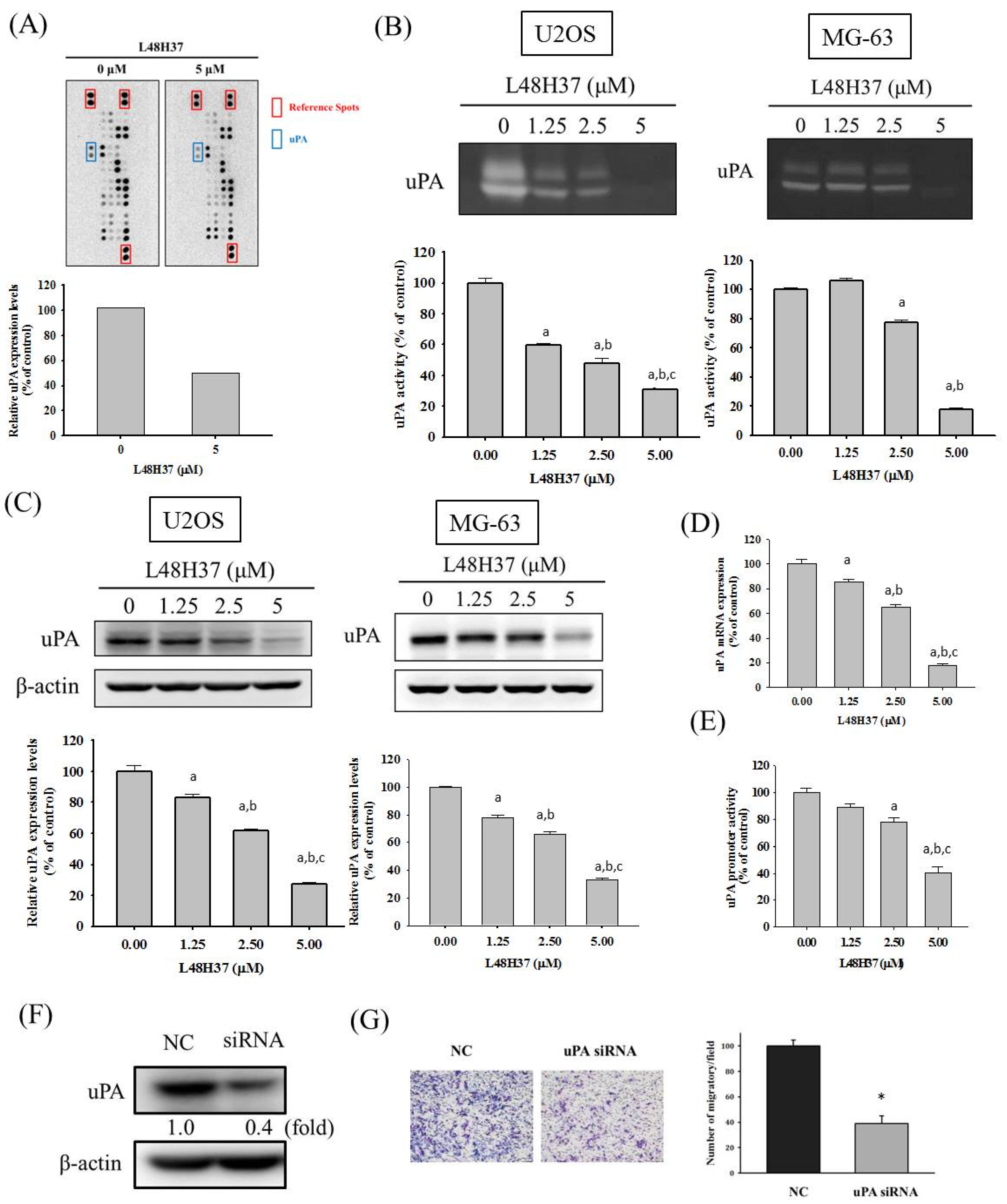 Molecules 26 00030 g003