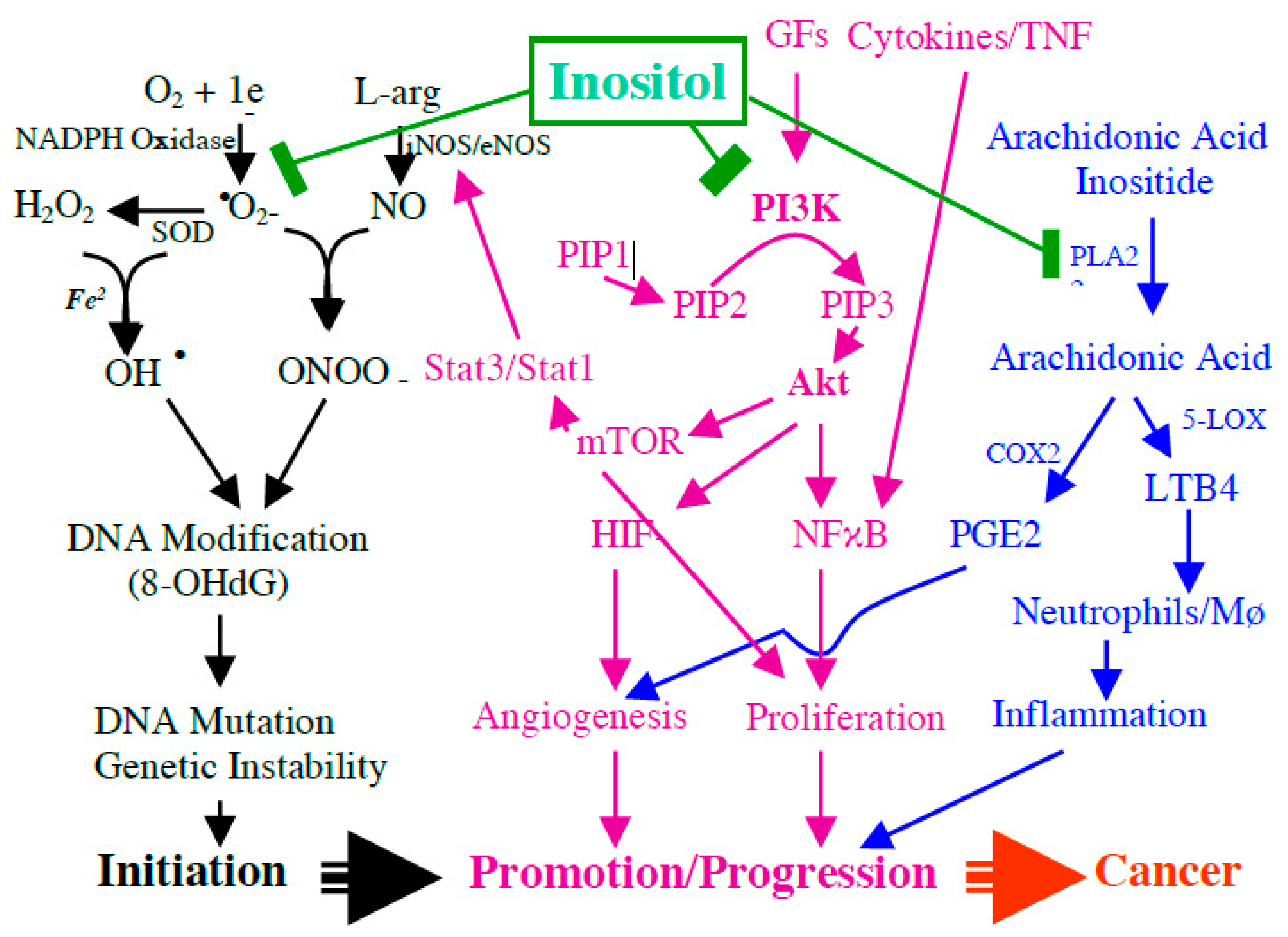 Molecules 26 00031 g001