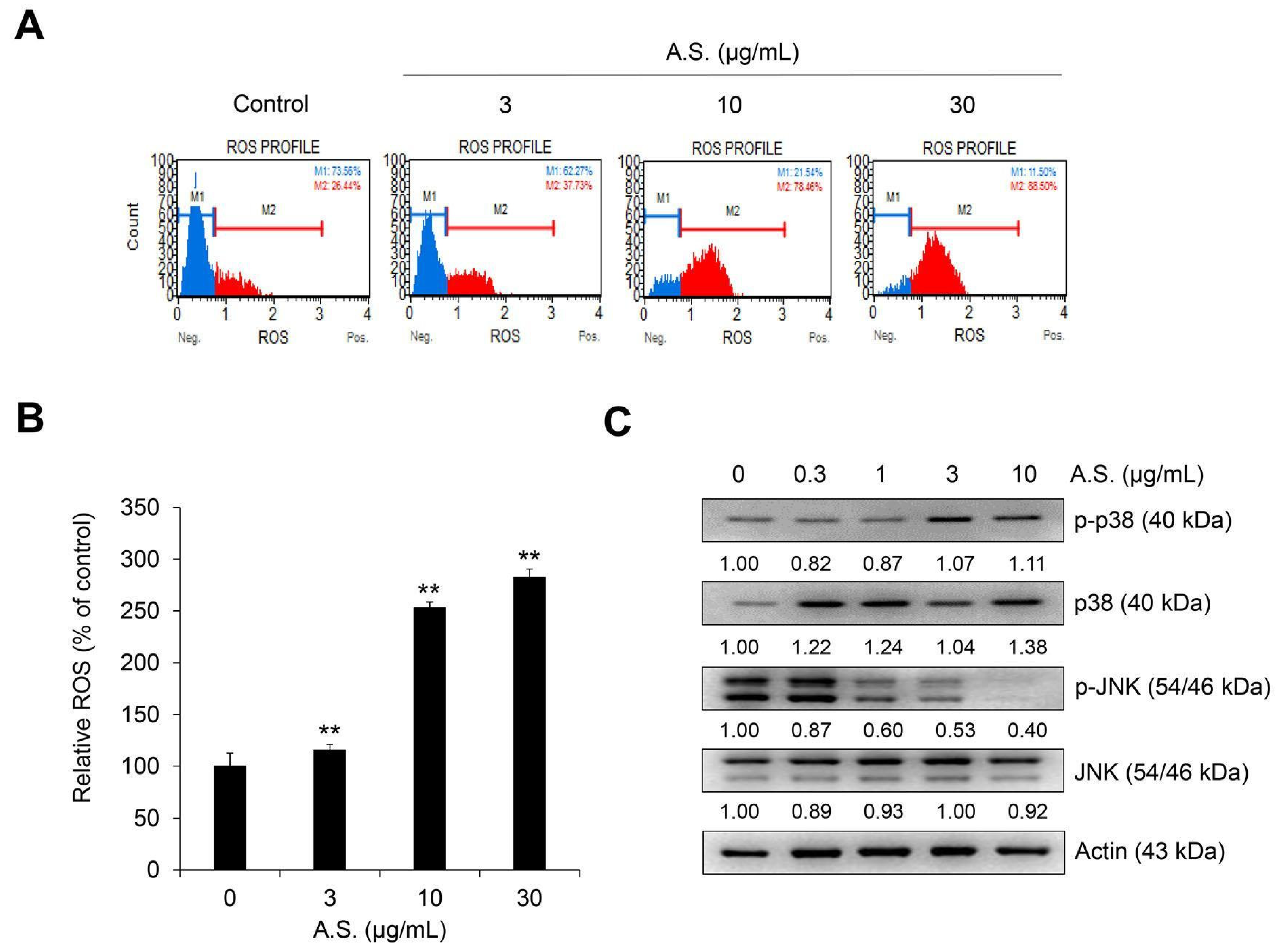 Molecules 26 00035 g003 Molecules 26 00035 g003