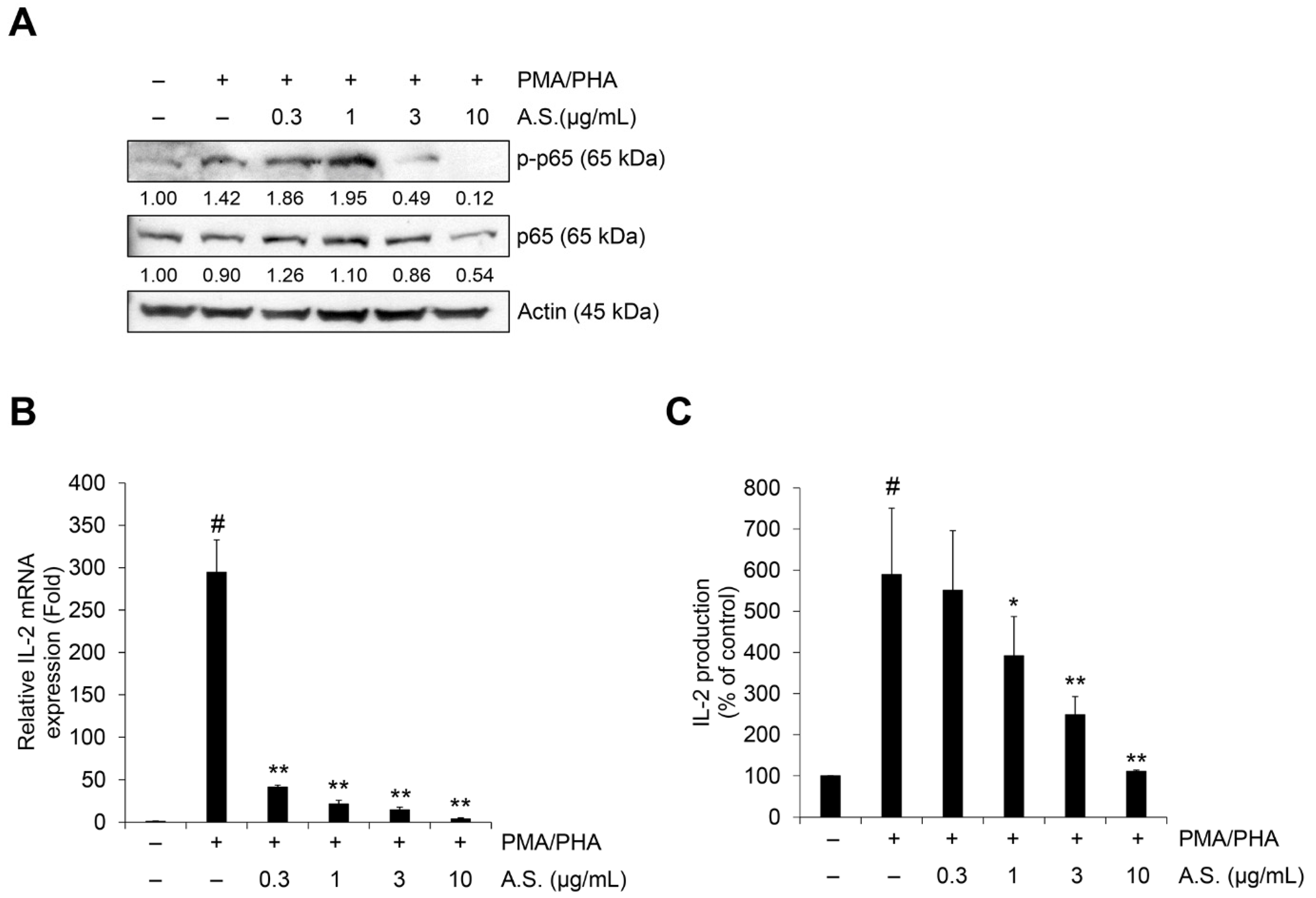Molecules 26 00035 g004 Molecules 26 00035 g004