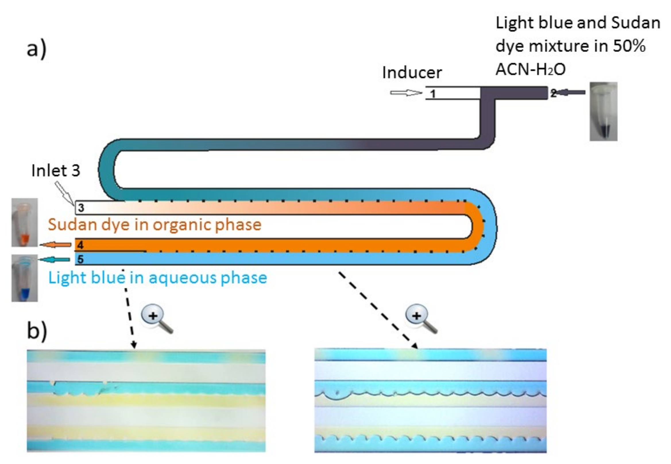 Molecules 26 00038 g001