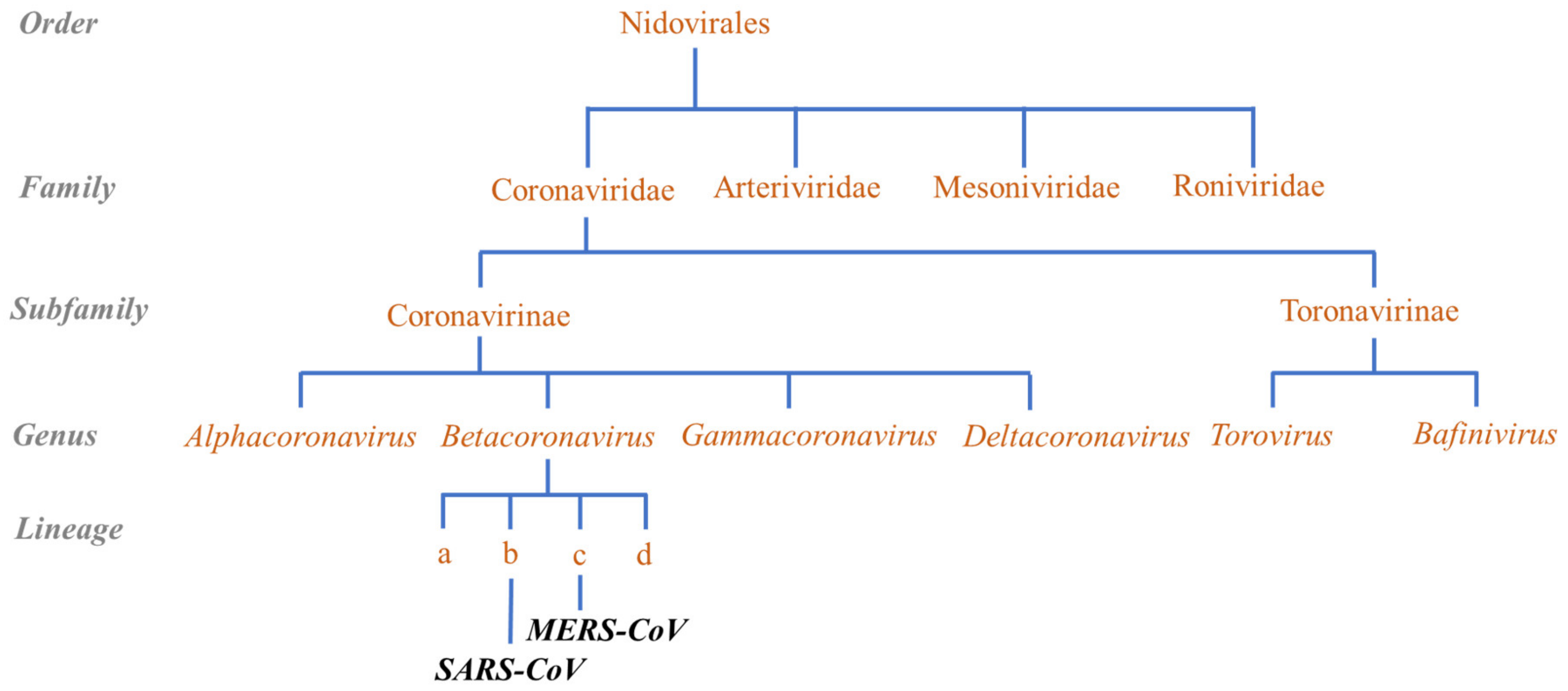 Molecules 26 00039 g003 Molecules 26 00039 g003