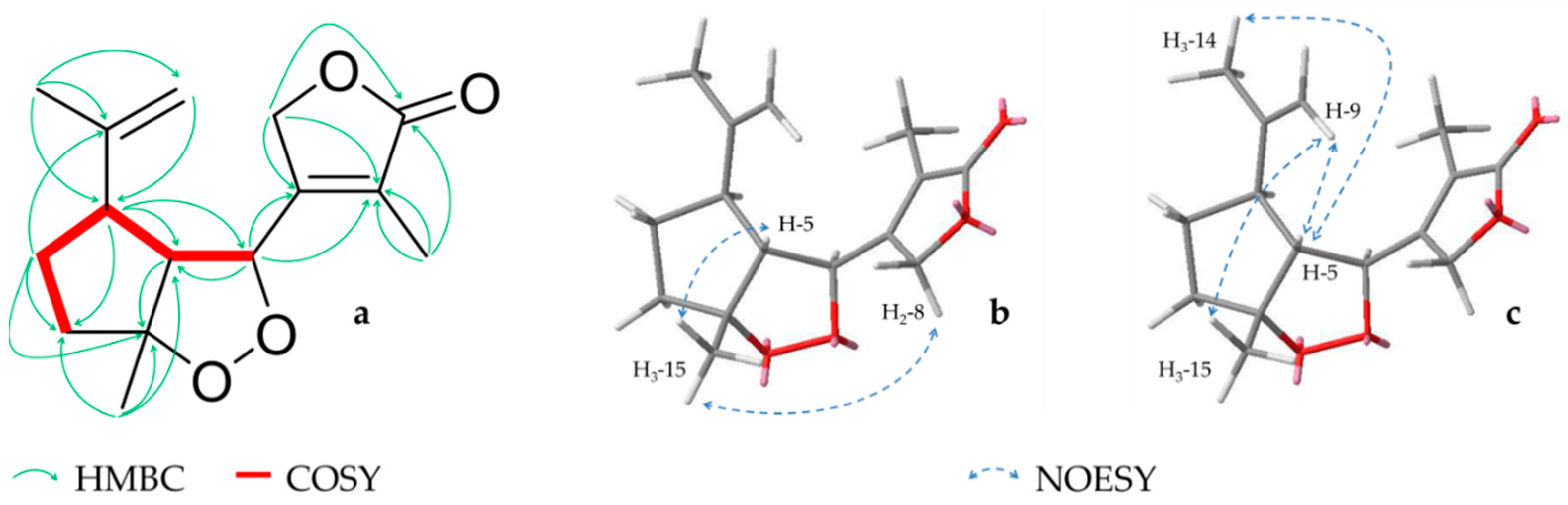 Molecules 26 00042 g003