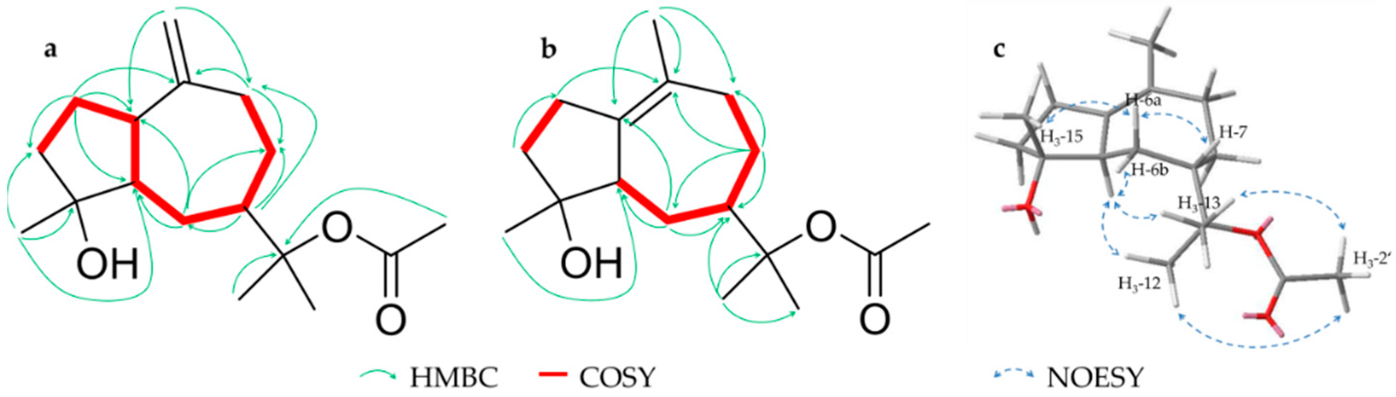 Molecules 26 00042 g004