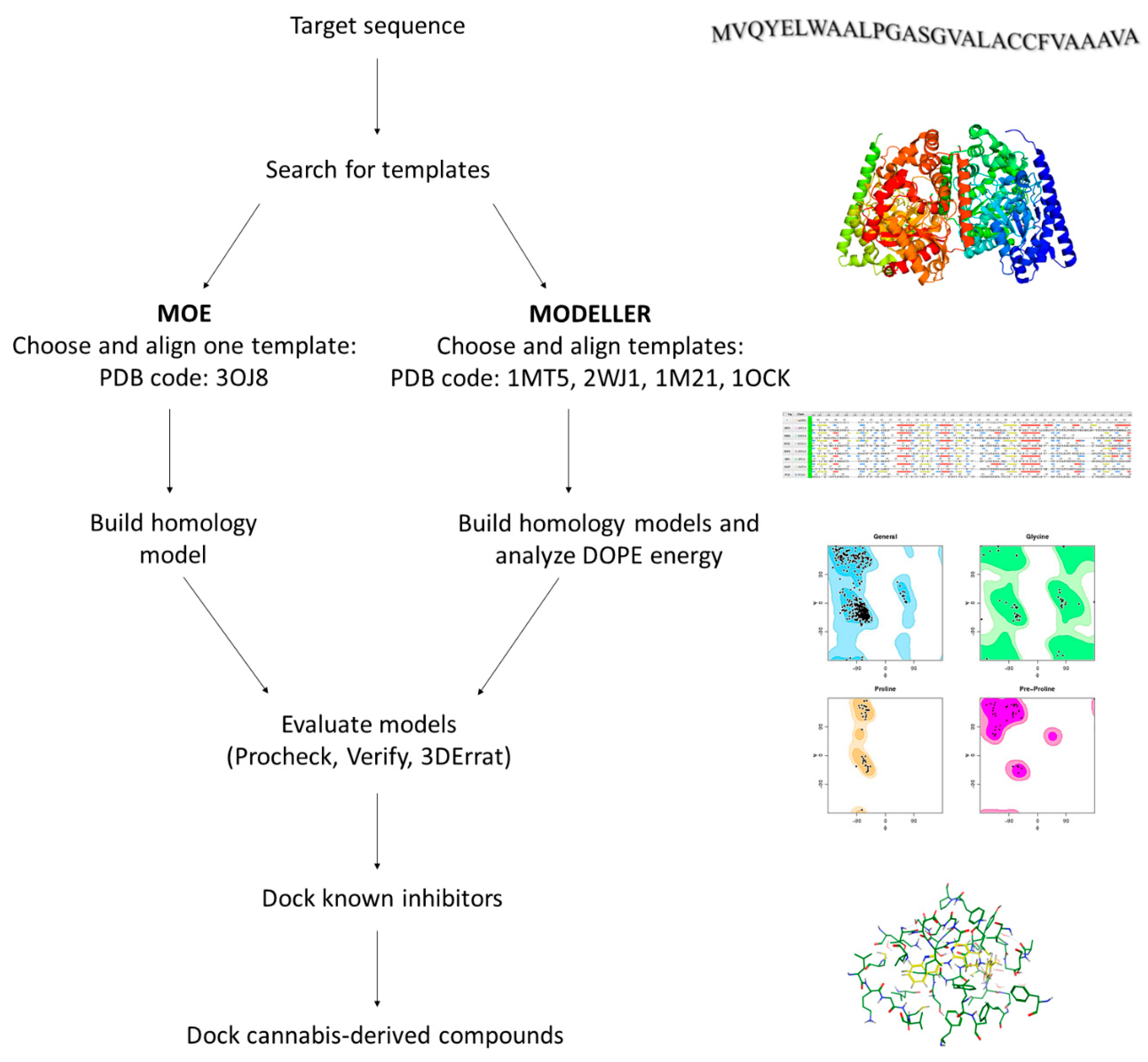 Molecules 26 00048 g003 Molecules 26 00048 g003