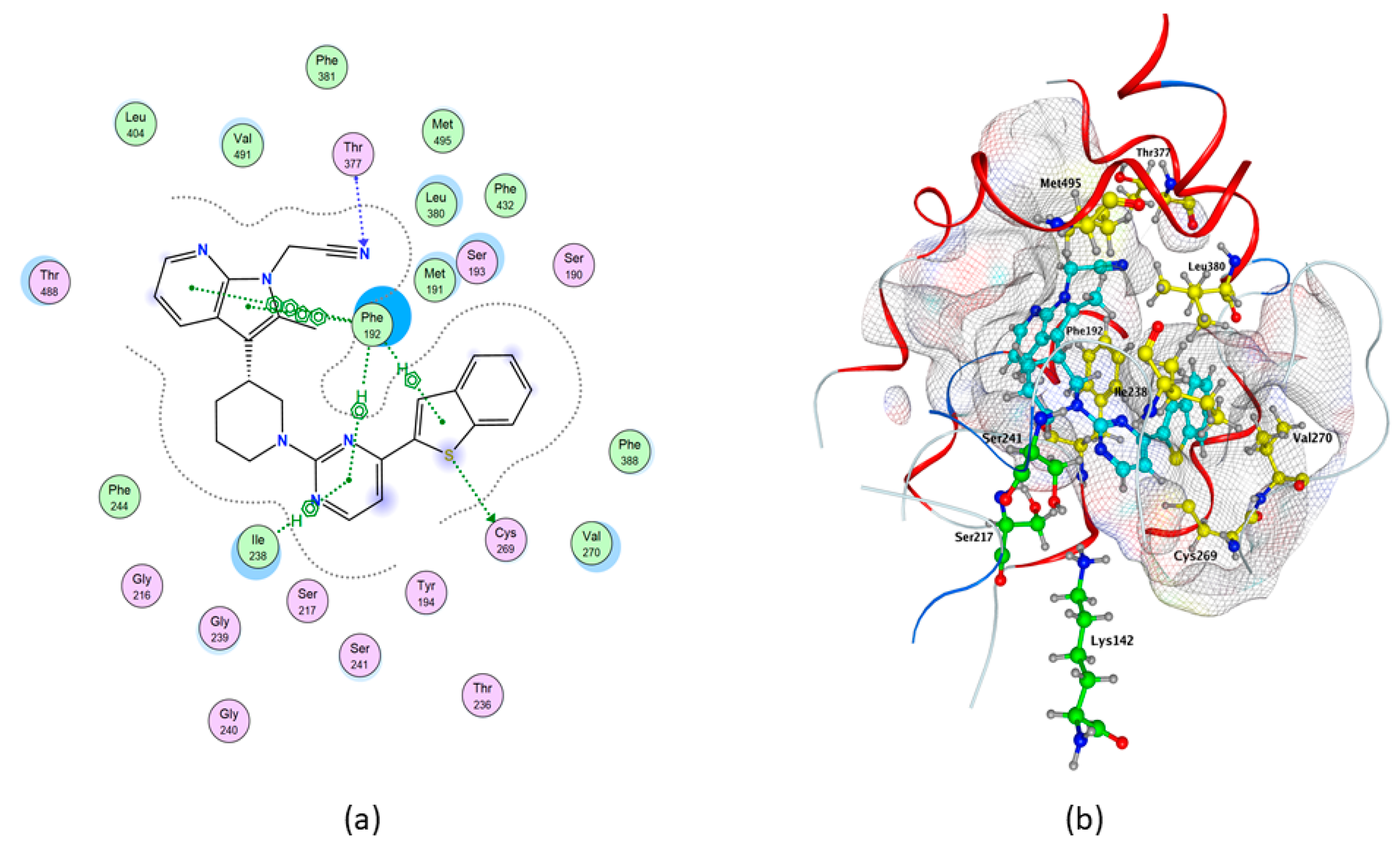 Molecules 26 00048 g005 Molecules 26 00048 g005