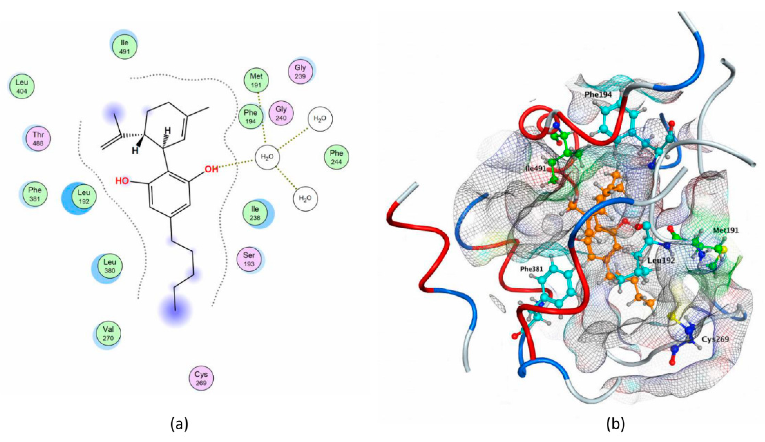 Molecules 26 00048 g006 Molecules 26 00048 g006