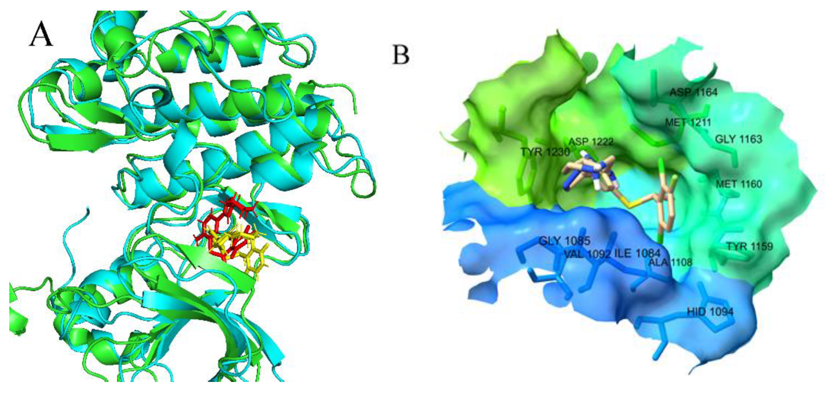 Molecules 26 00052 g010 Molecules 26 00052 g010