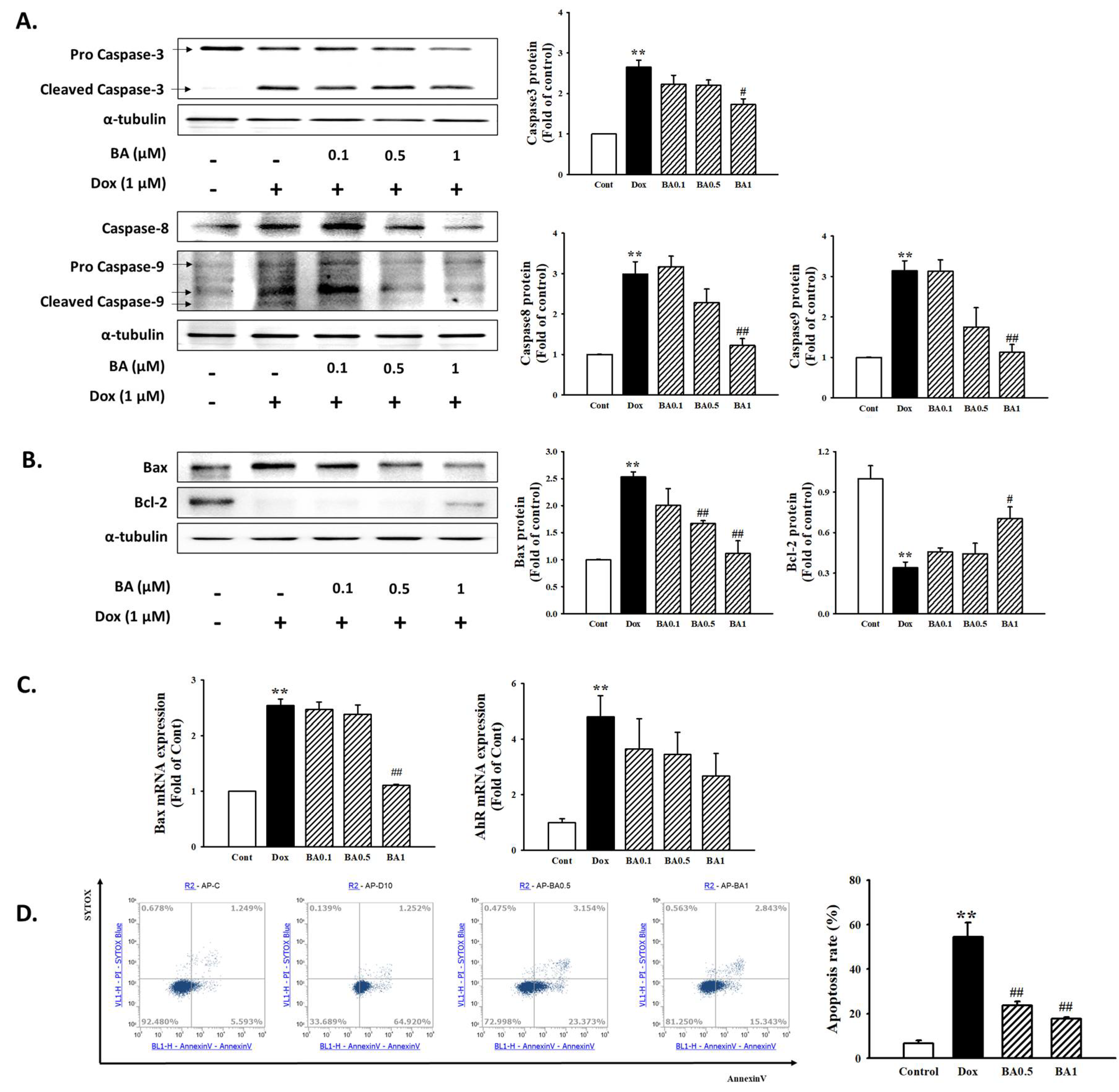 Molecules 26 00053 g007 Molecules 26 00053 g007