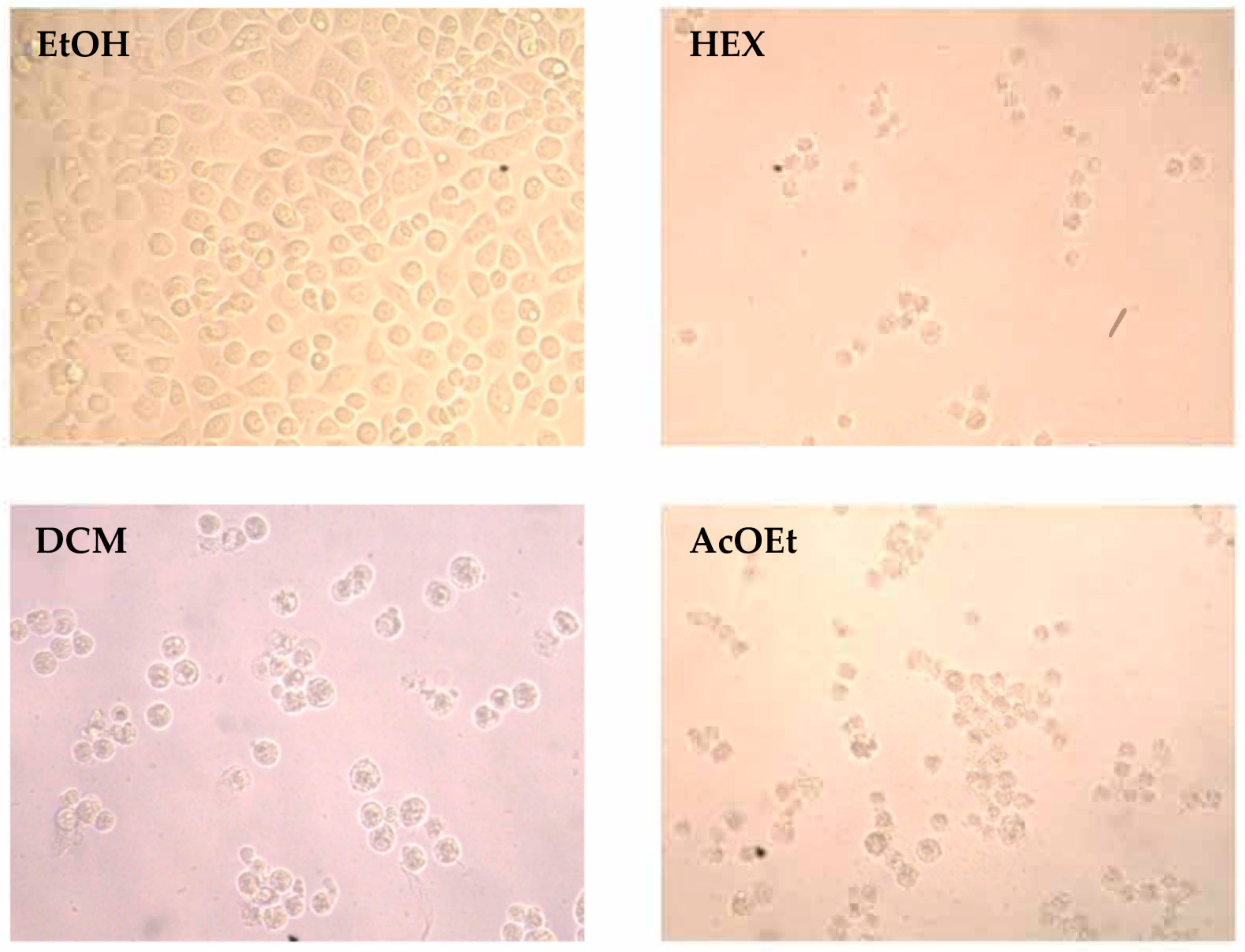 Molecules 26 00067 g002 Molecules 26 00067 g002