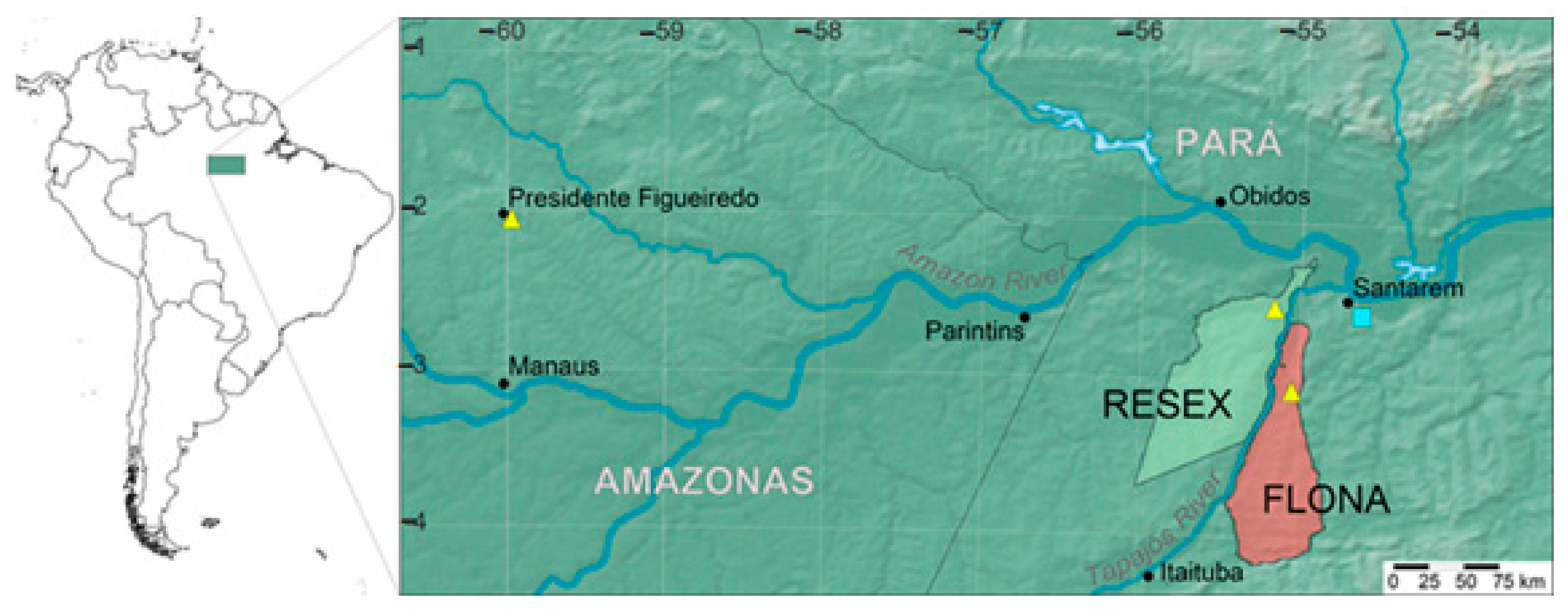 Molecules 26 00069 g008 Molecules 26 00069 g008