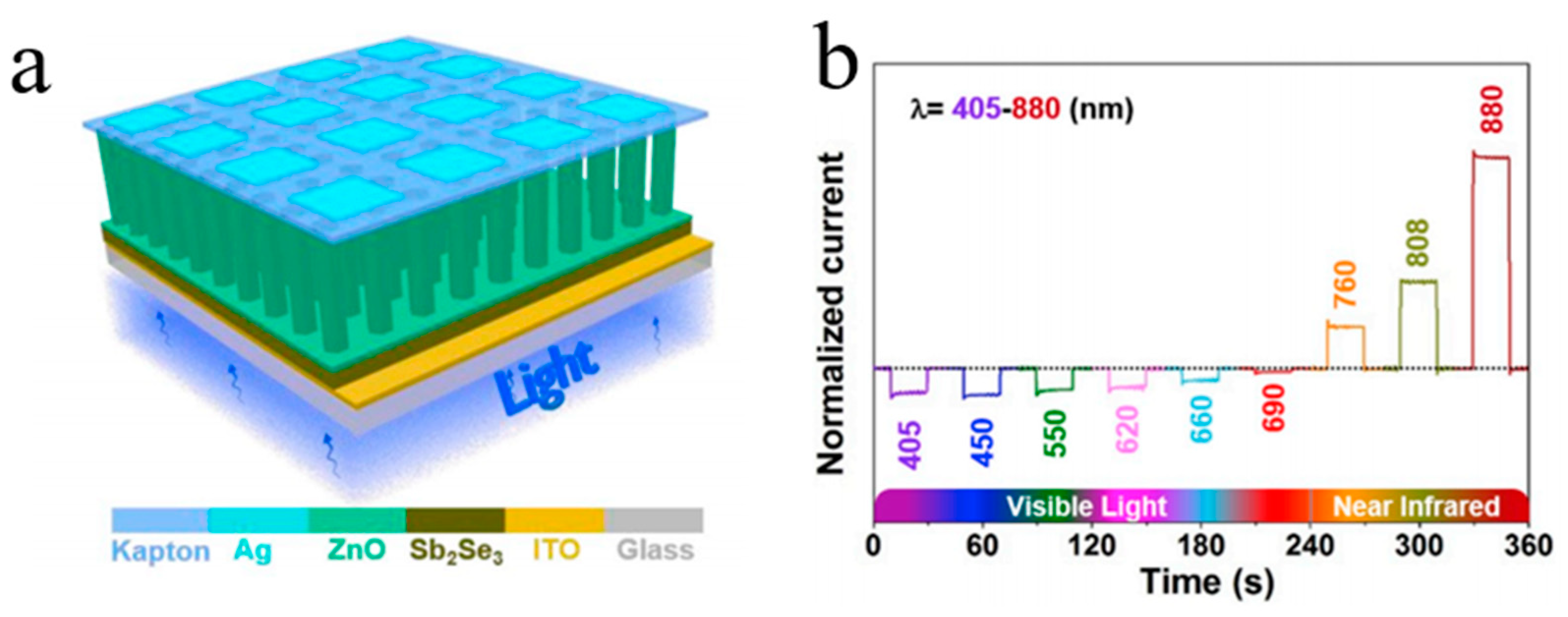 Molecules 26 00071 g001