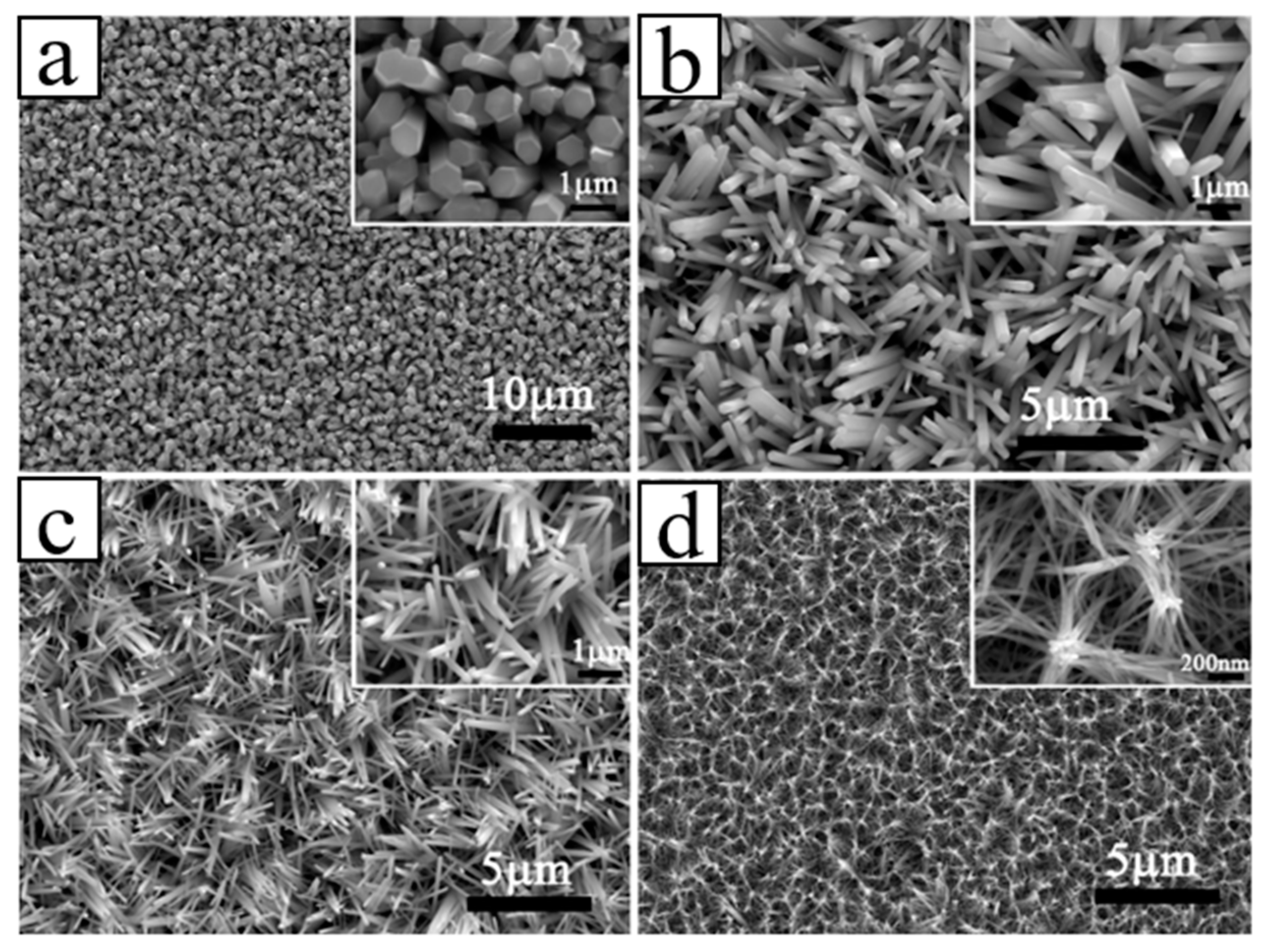 Molecules 26 00071 g010