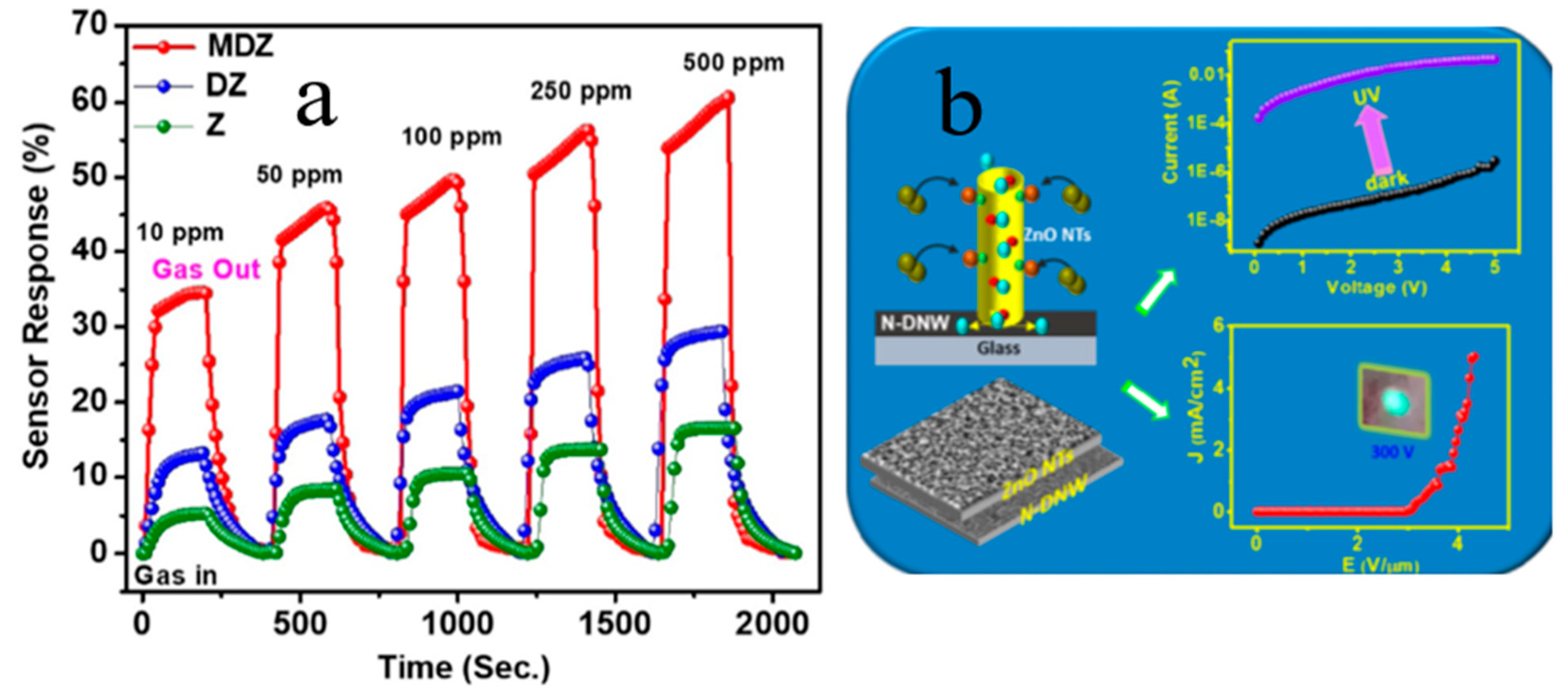 Molecules 26 00071 g012