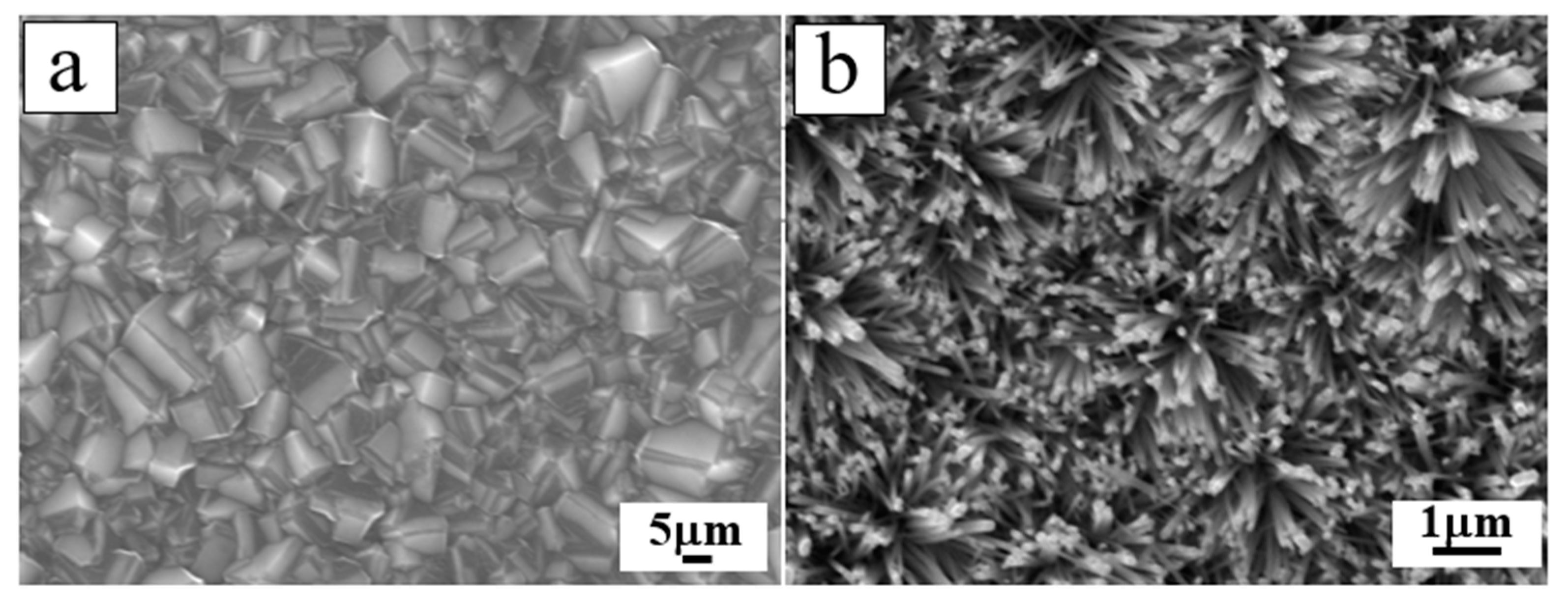 Molecules 26 00071 g013