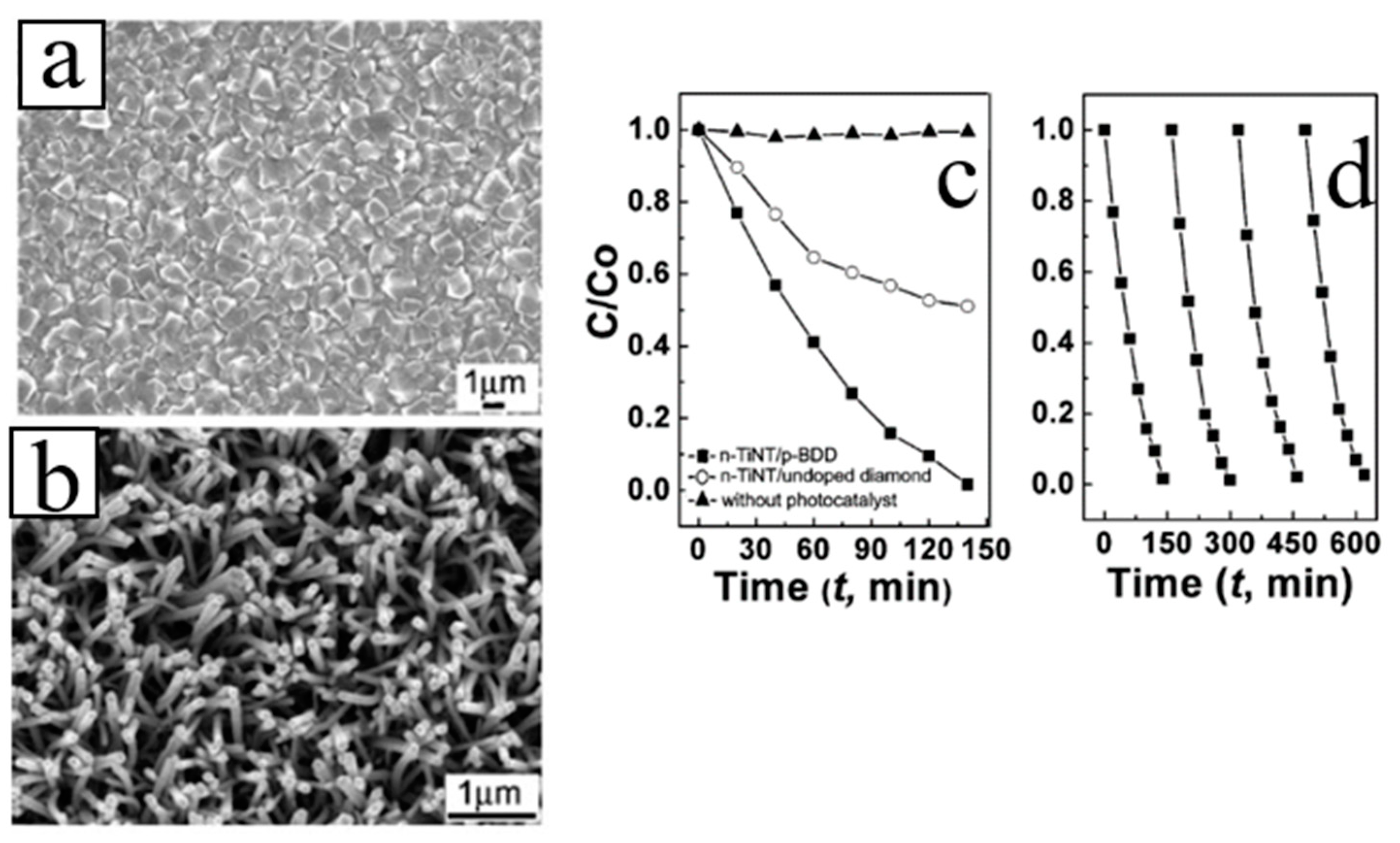 Molecules 26 00071 g017