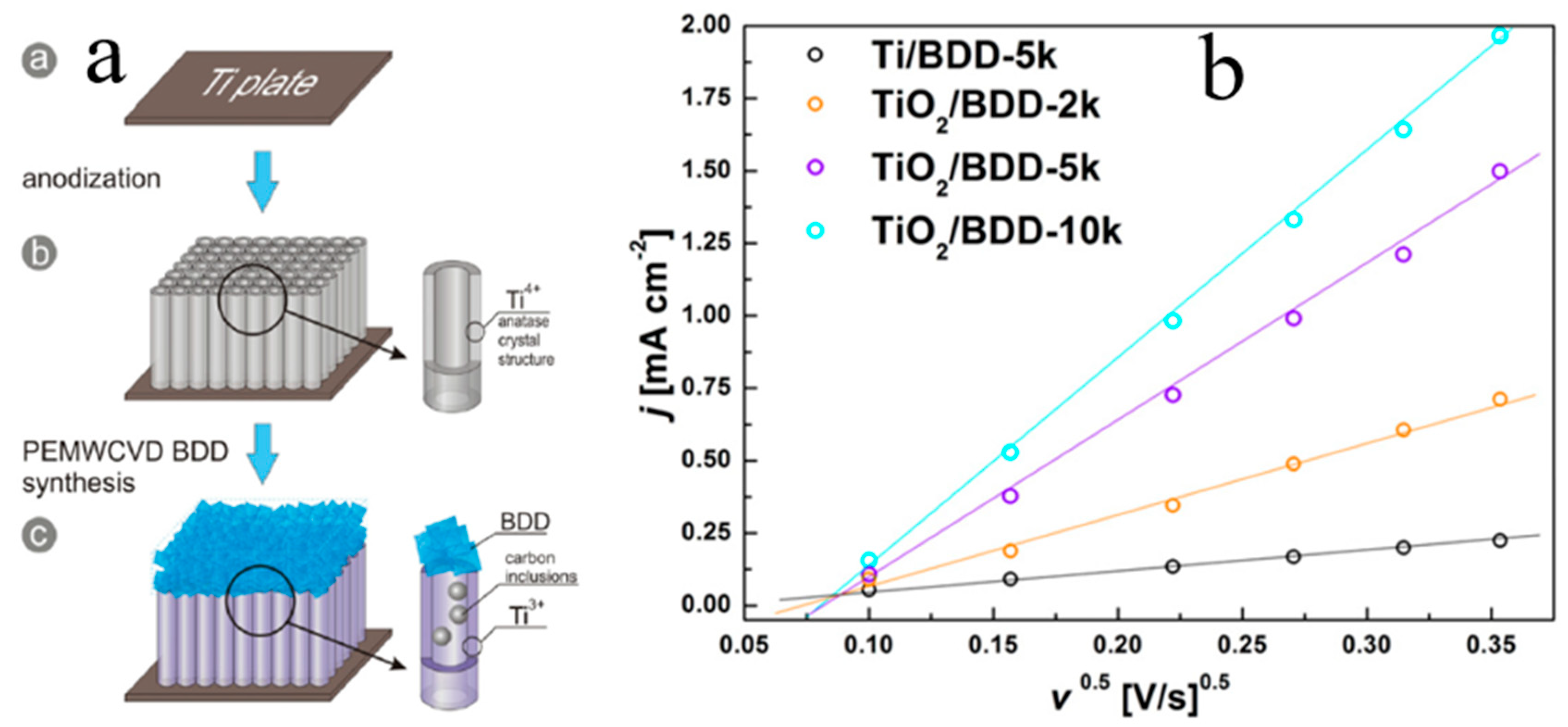Molecules 26 00071 g019