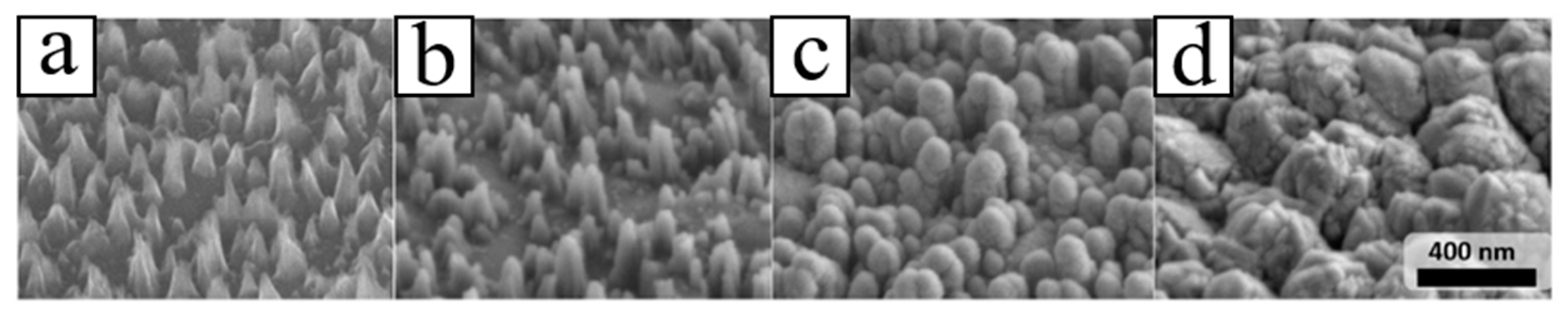 Molecules 26 00071 g020