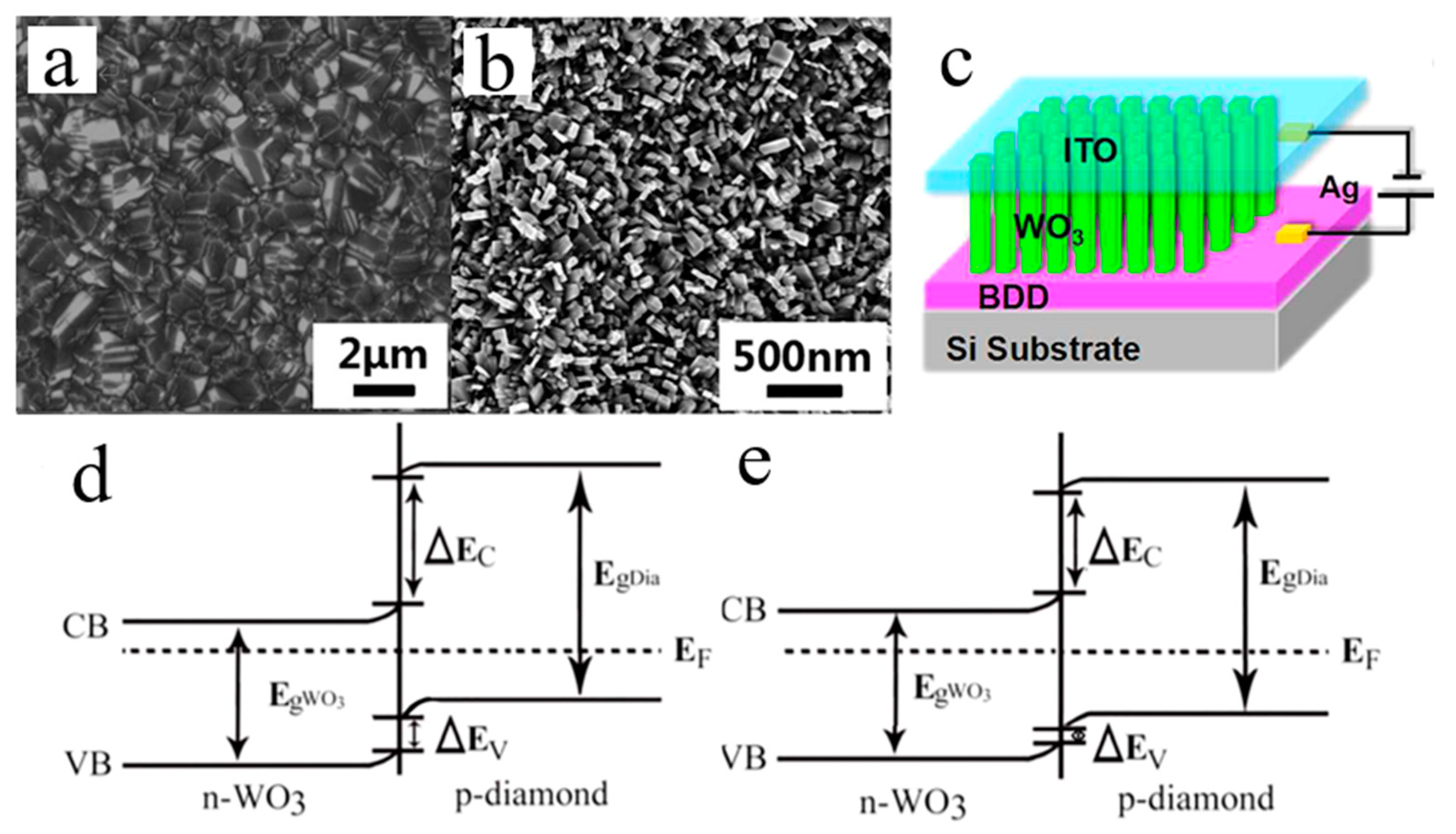 Molecules 26 00071 g021