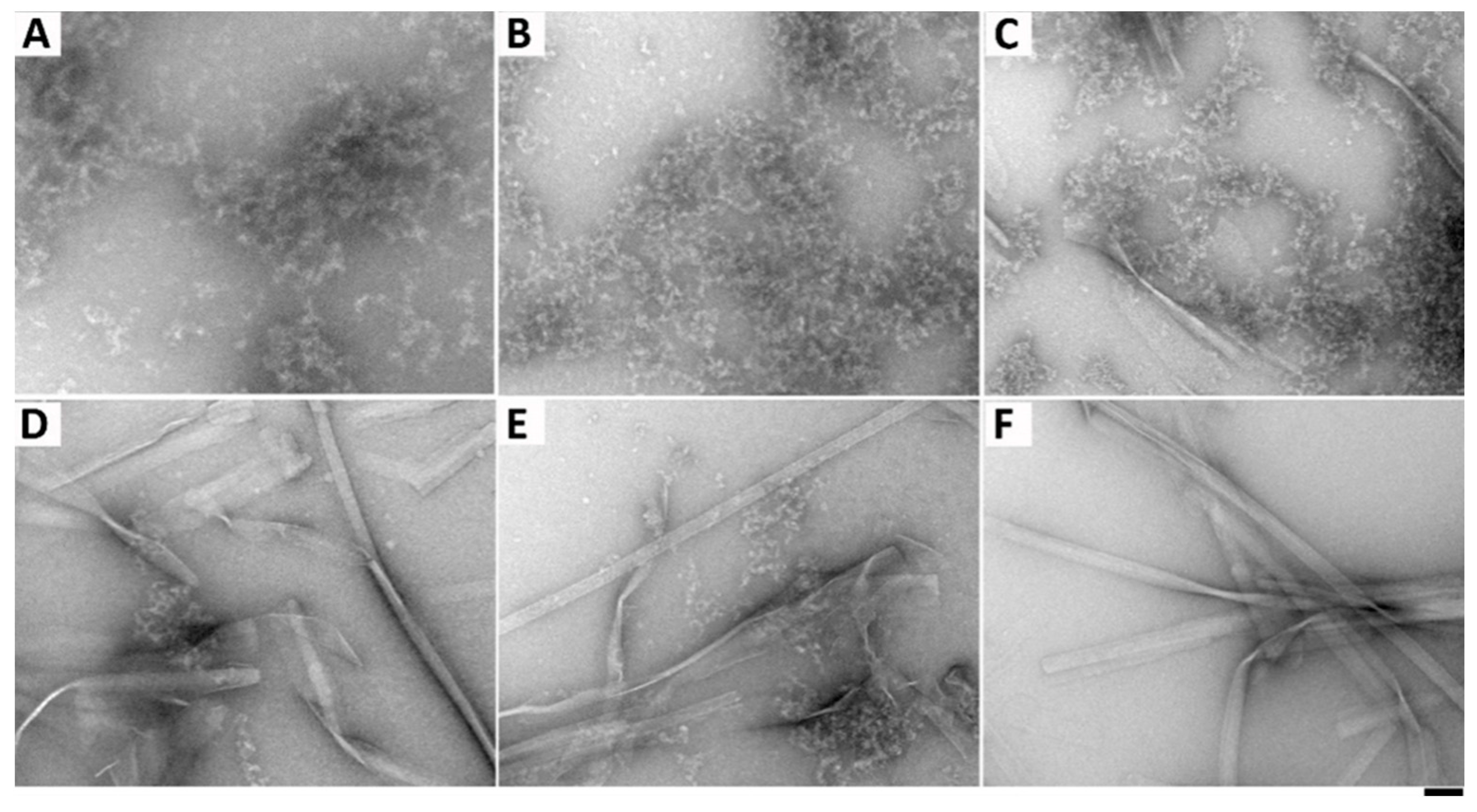 Molecules 26 00077 g006