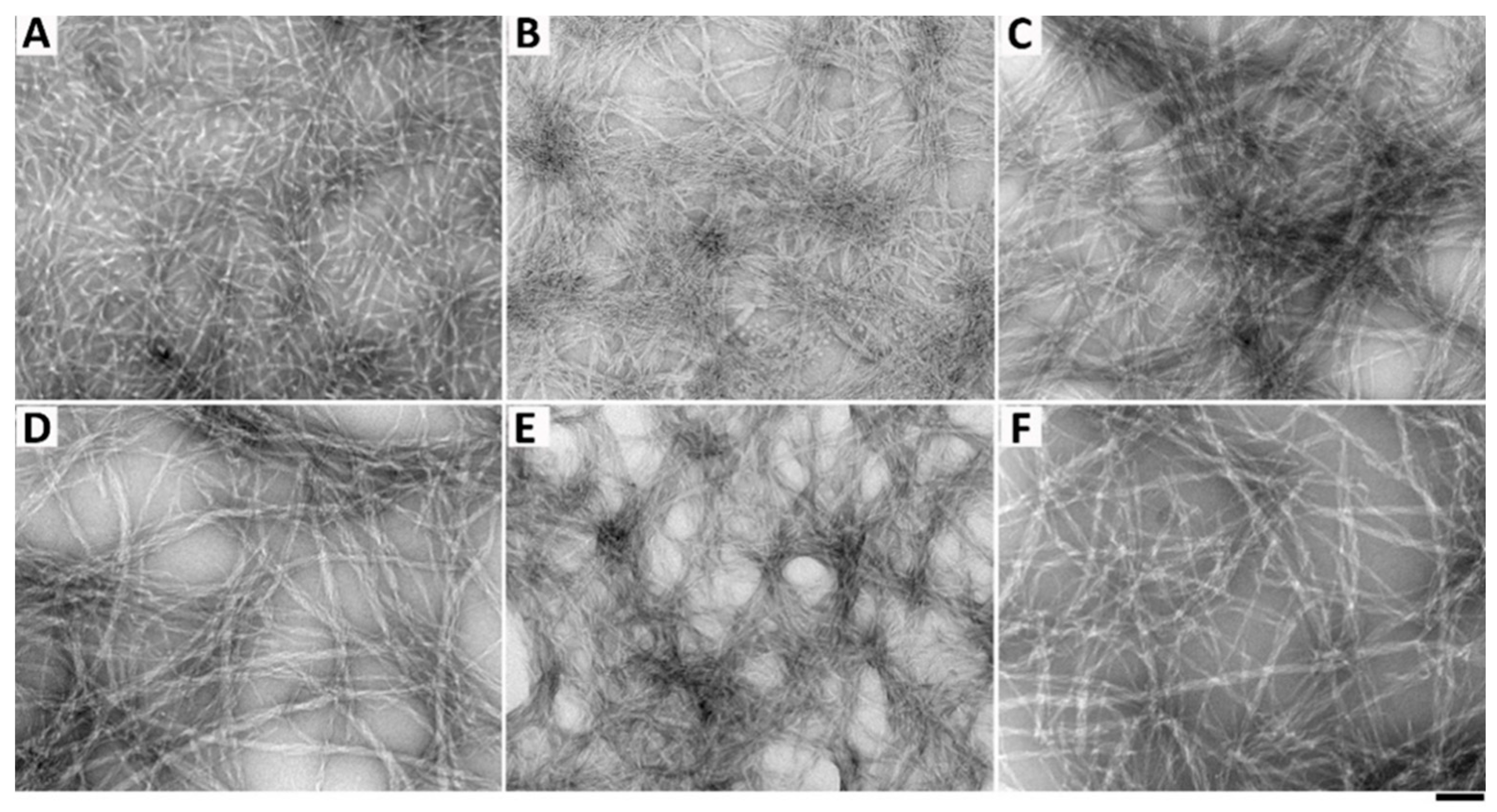 Molecules 26 00077 g007