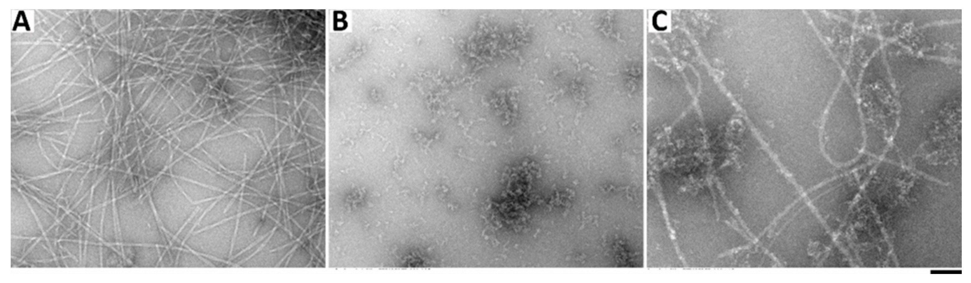 Molecules 26 00077 g008