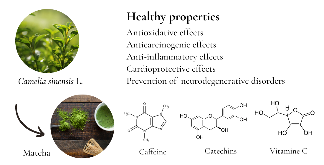 Molecules Free FullText Health Benefits and Chemical Composition