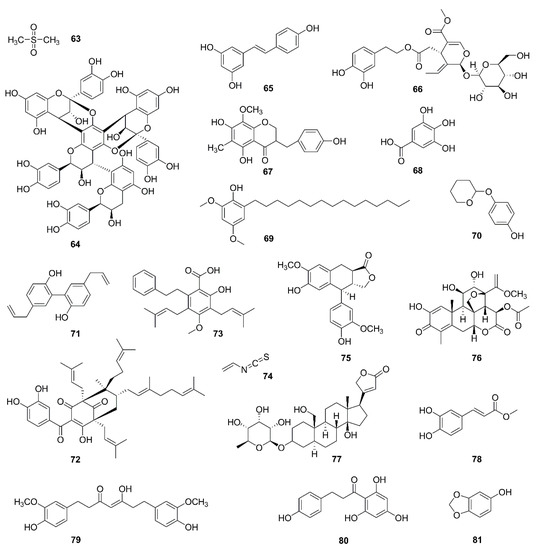 Natural Products Targeting the Mitochondria in Cancers