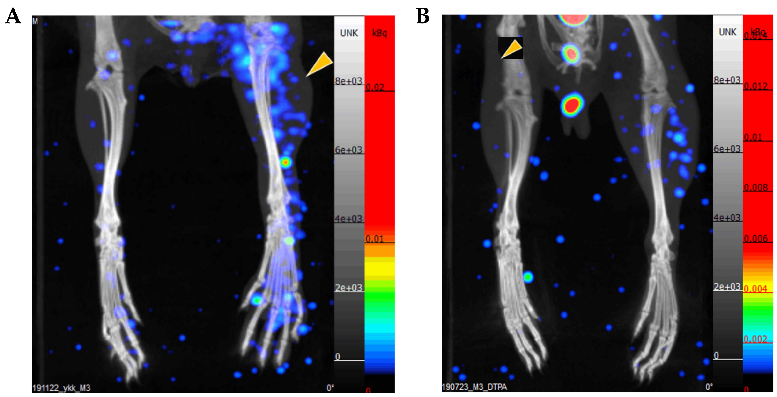 Molecules 26 00096 g005a