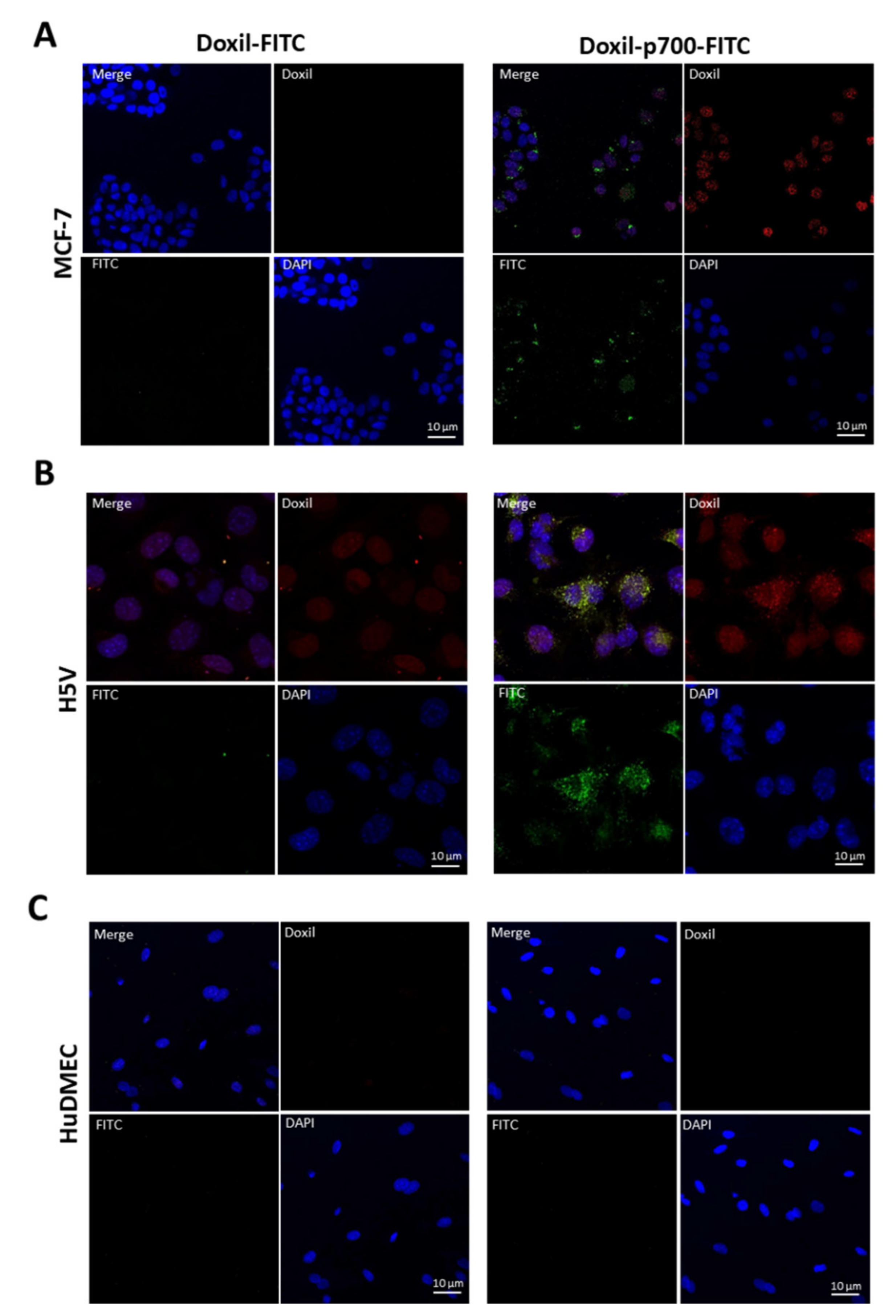 Molecules 26 00100 g004 Molecules 26 00100 g004