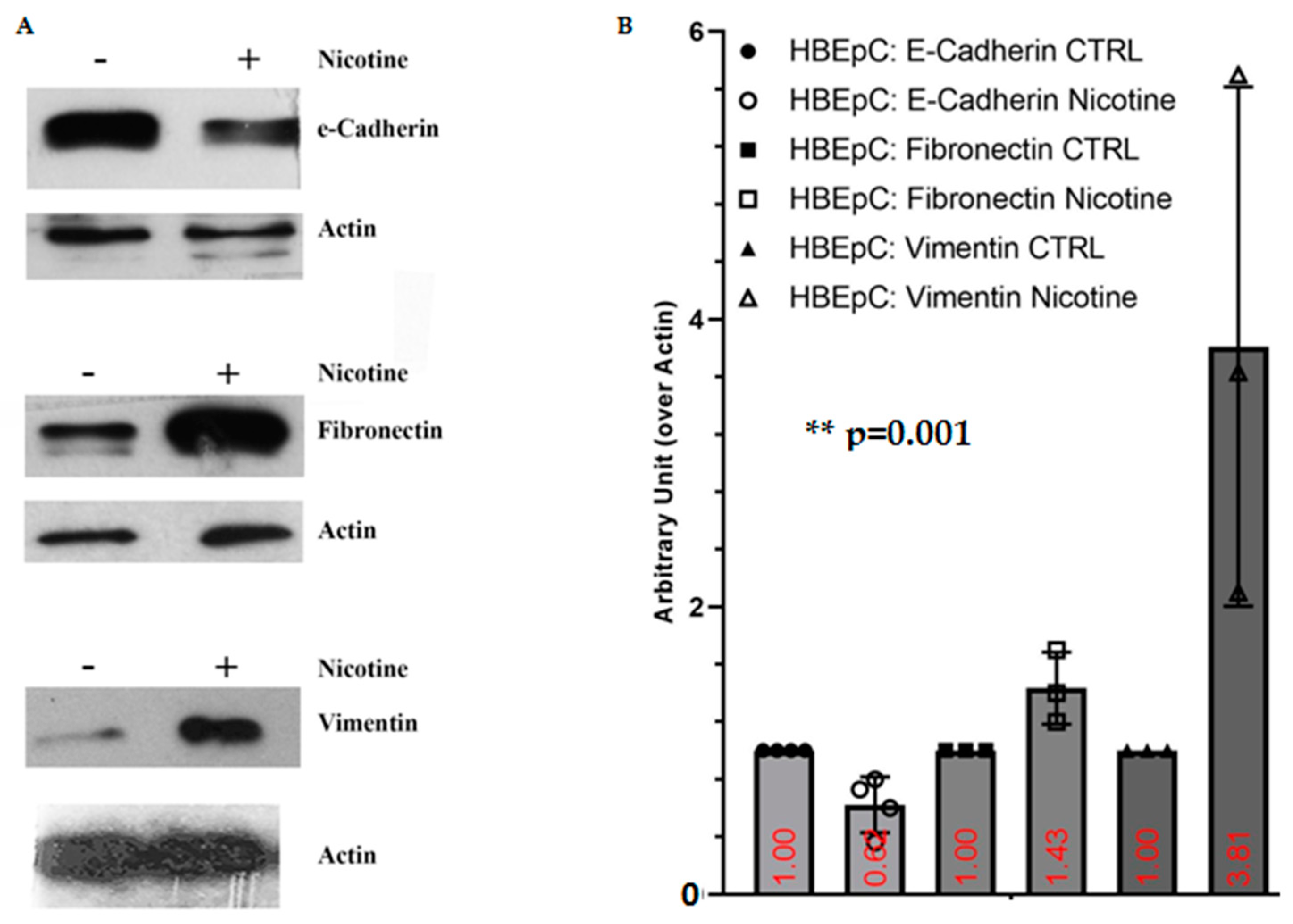 Molecules 26 00101 g009 Molecules 26 00101 g009
