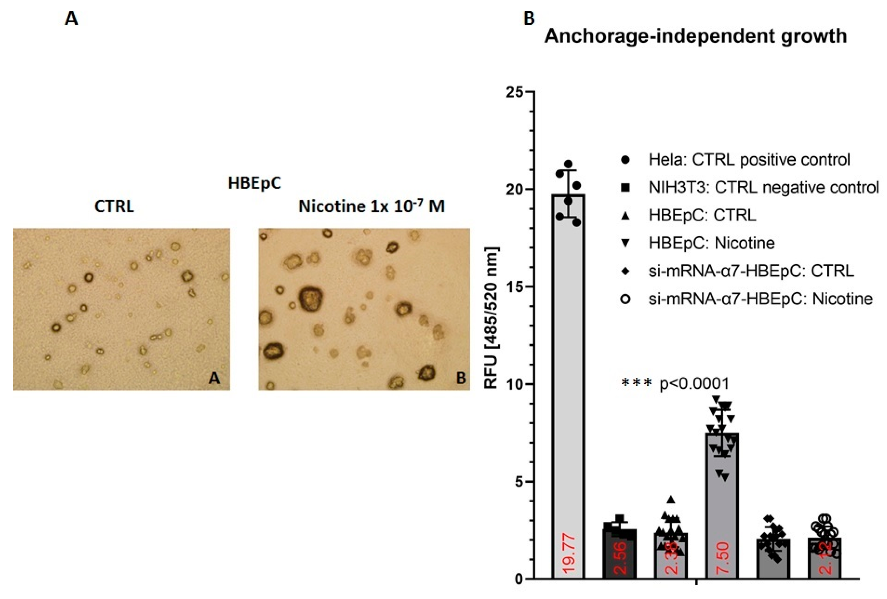 Molecules Free Full Text Nicotine Changes Airway Epithelial Phenotype And May Increase The Sars Cov 2 Infection Severity Html