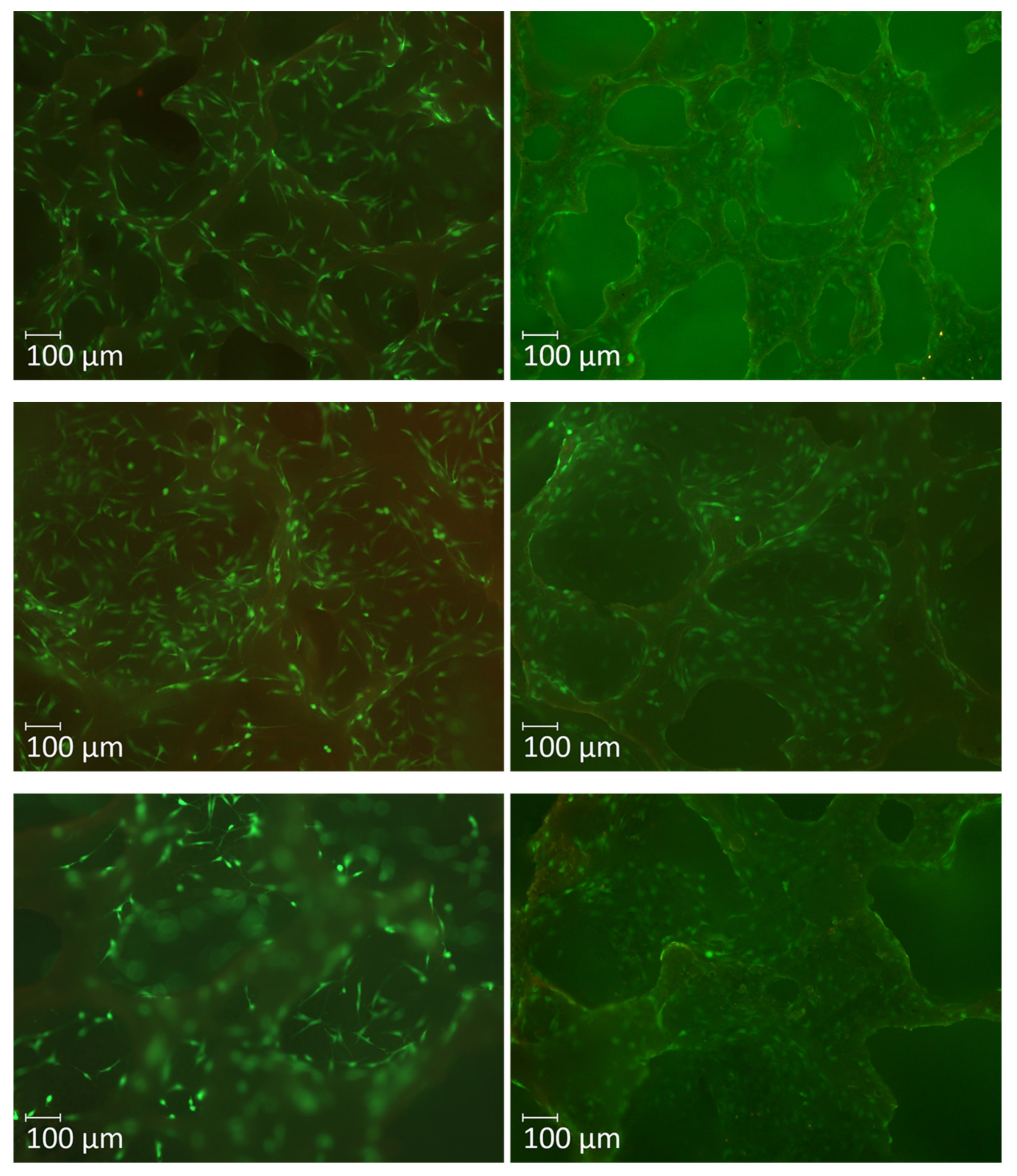 Molecules 26 00102 g006 Molecules 26 00102 g006
