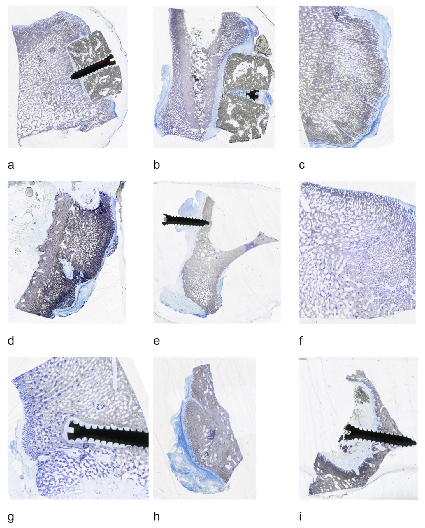 Molecules 26 00102 g009 Molecules 26 00102 g009