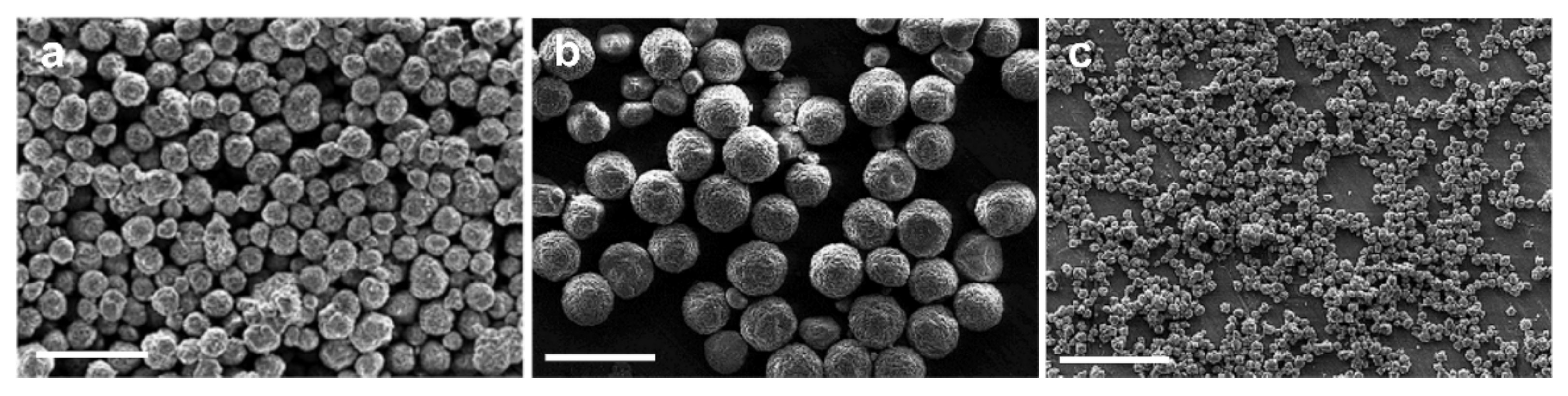 Molecules 26 00102 g010 Molecules 26 00102 g010