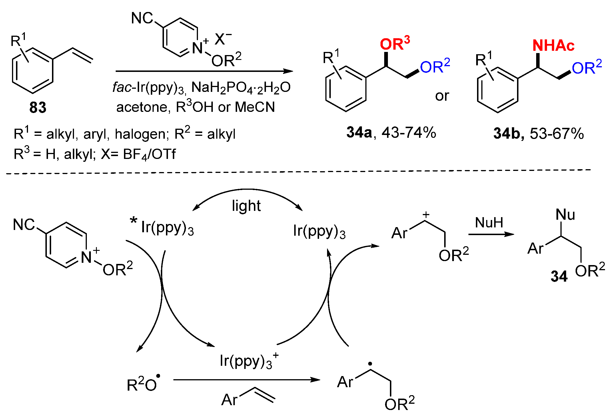 Molecules 26 00105 sch019 Molecules 26 00105 sch019