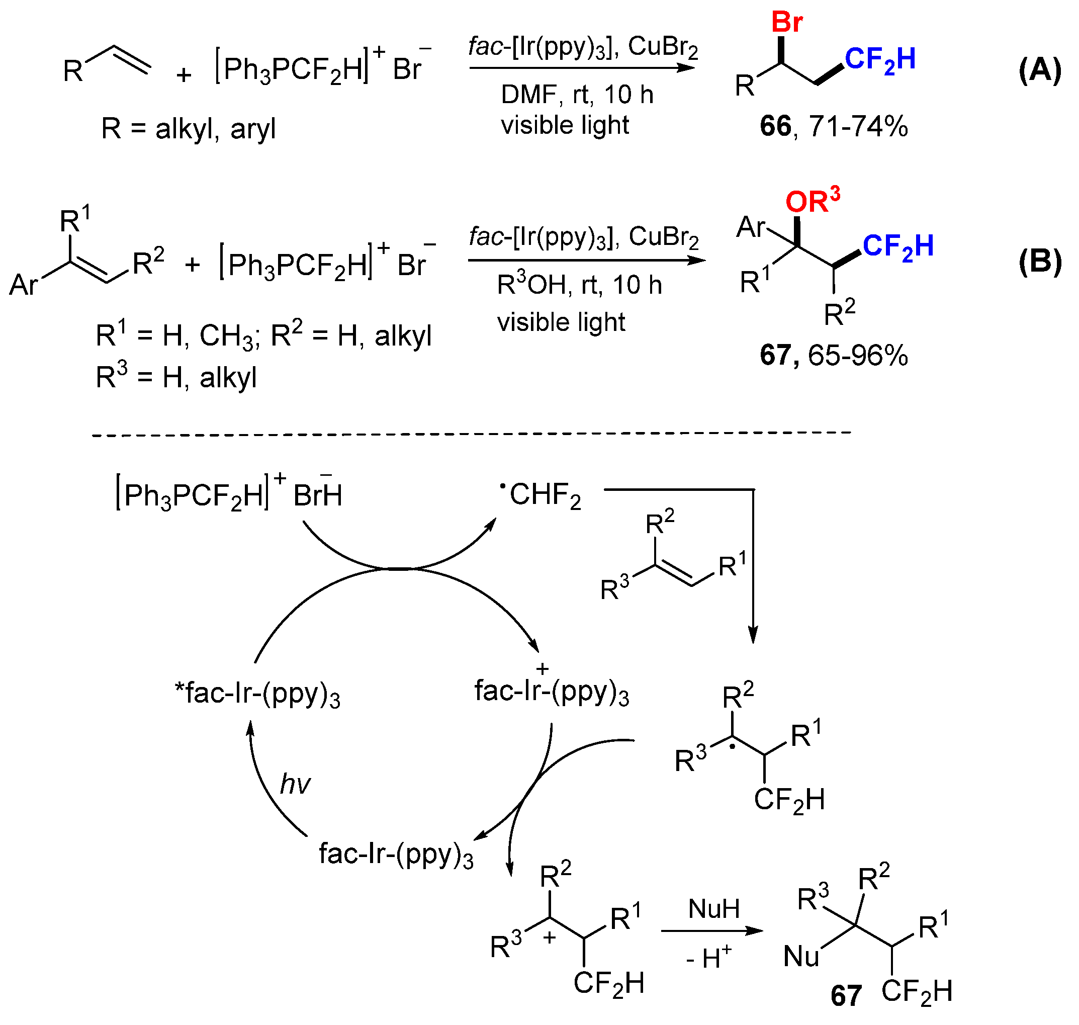 Molecules 26 00105 sch043 Molecules 26 00105 sch043