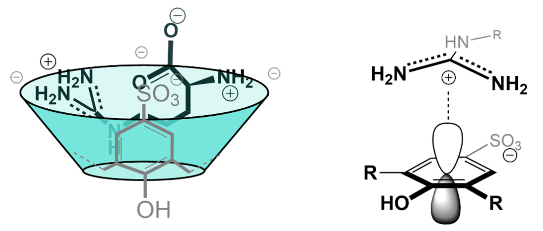 Molecules 26 00106 g002