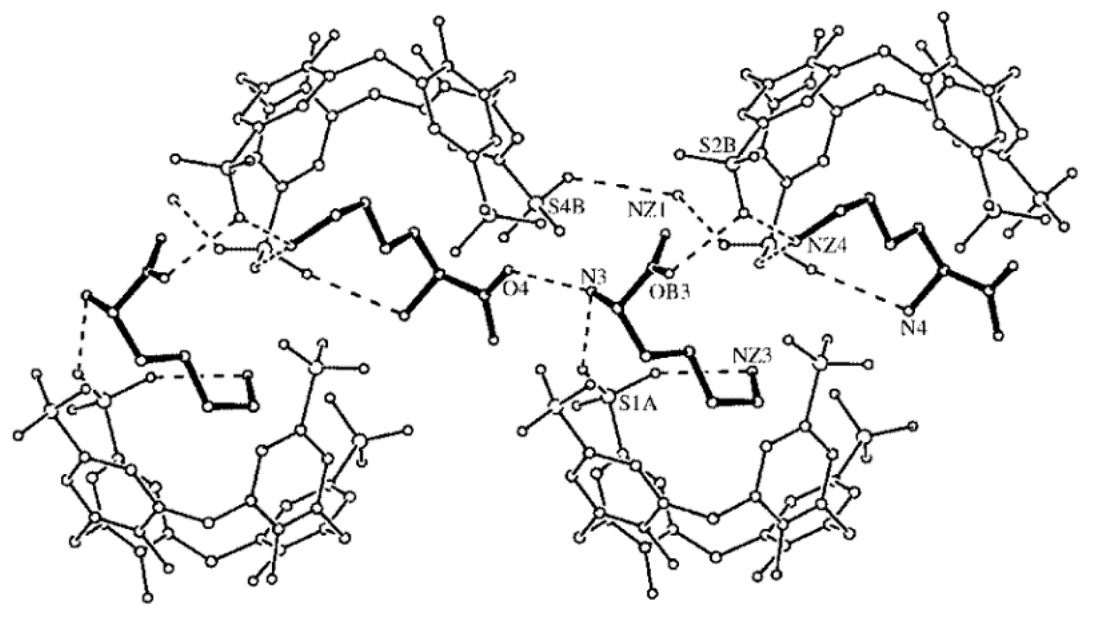Molecules 26 00106 g003