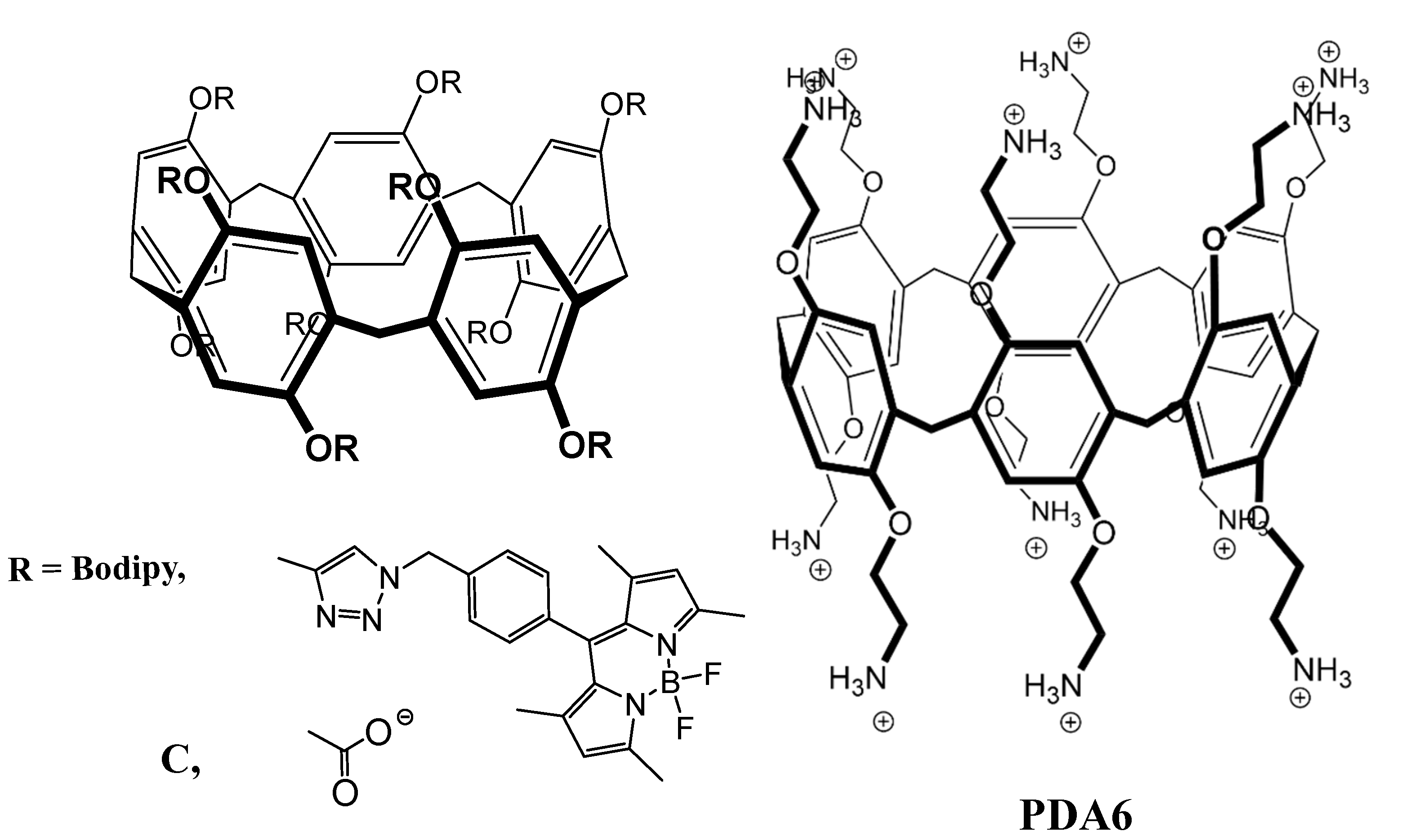 Molecules 26 00106 g005