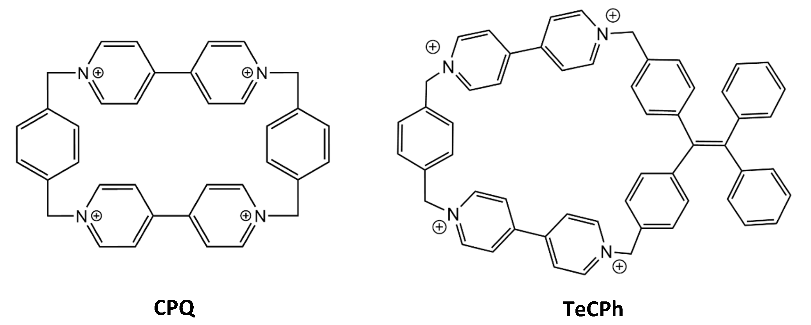 Molecules 26 00106 g012