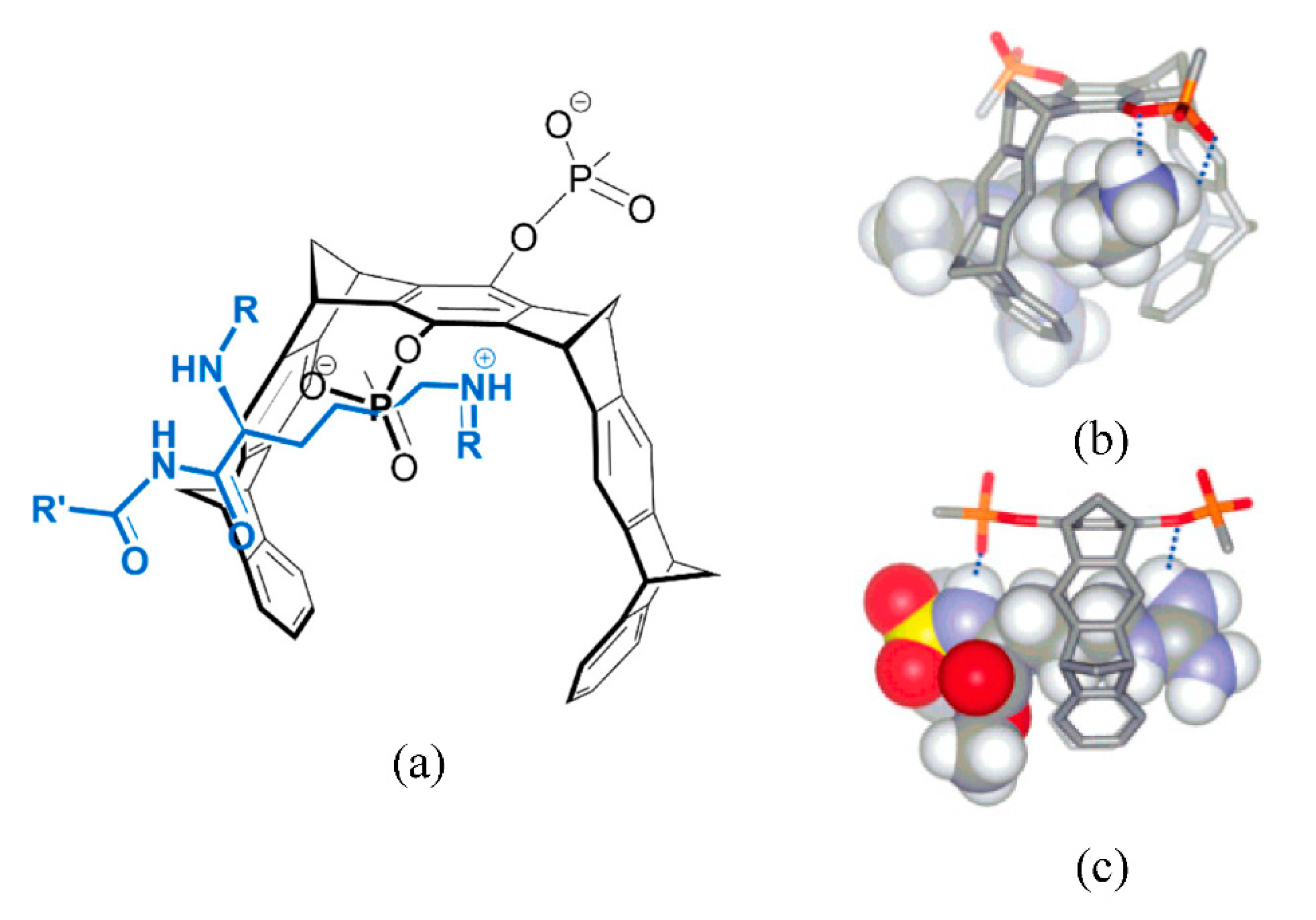 Molecules 26 00106 g016