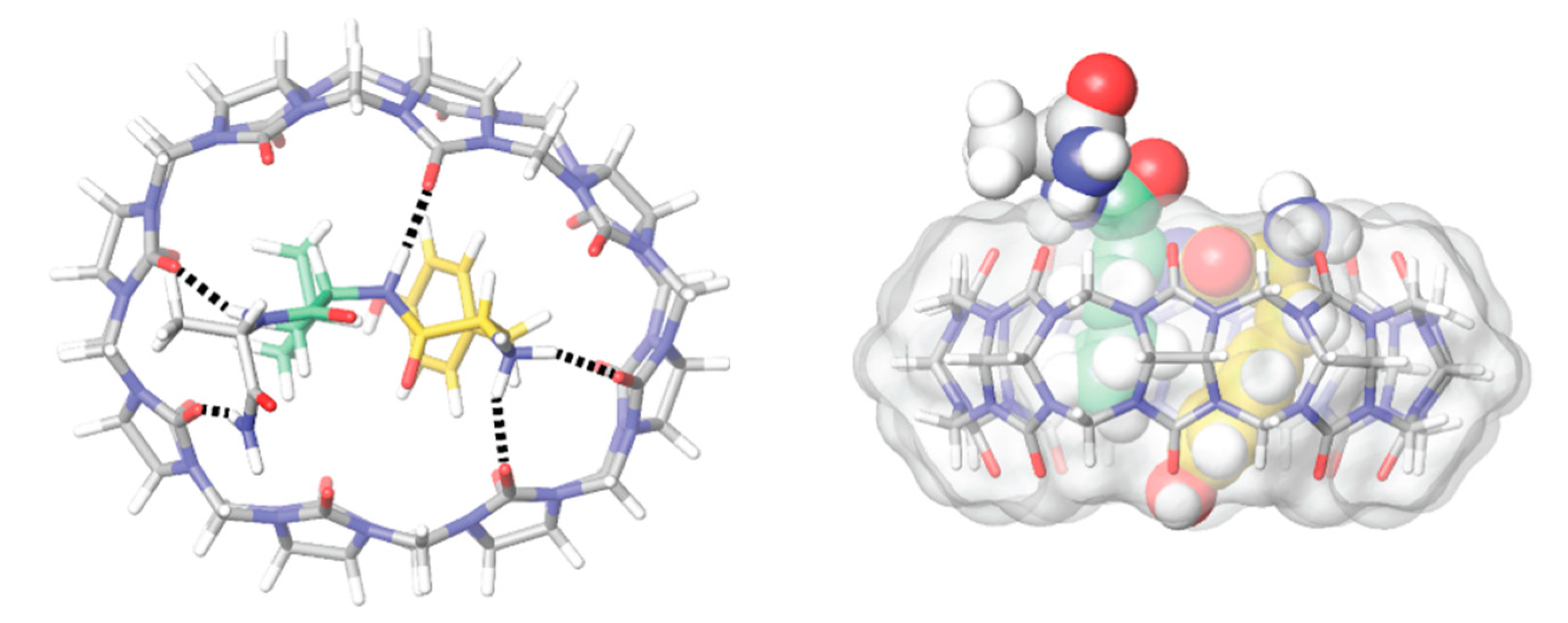 Molecules 26 00106 g021