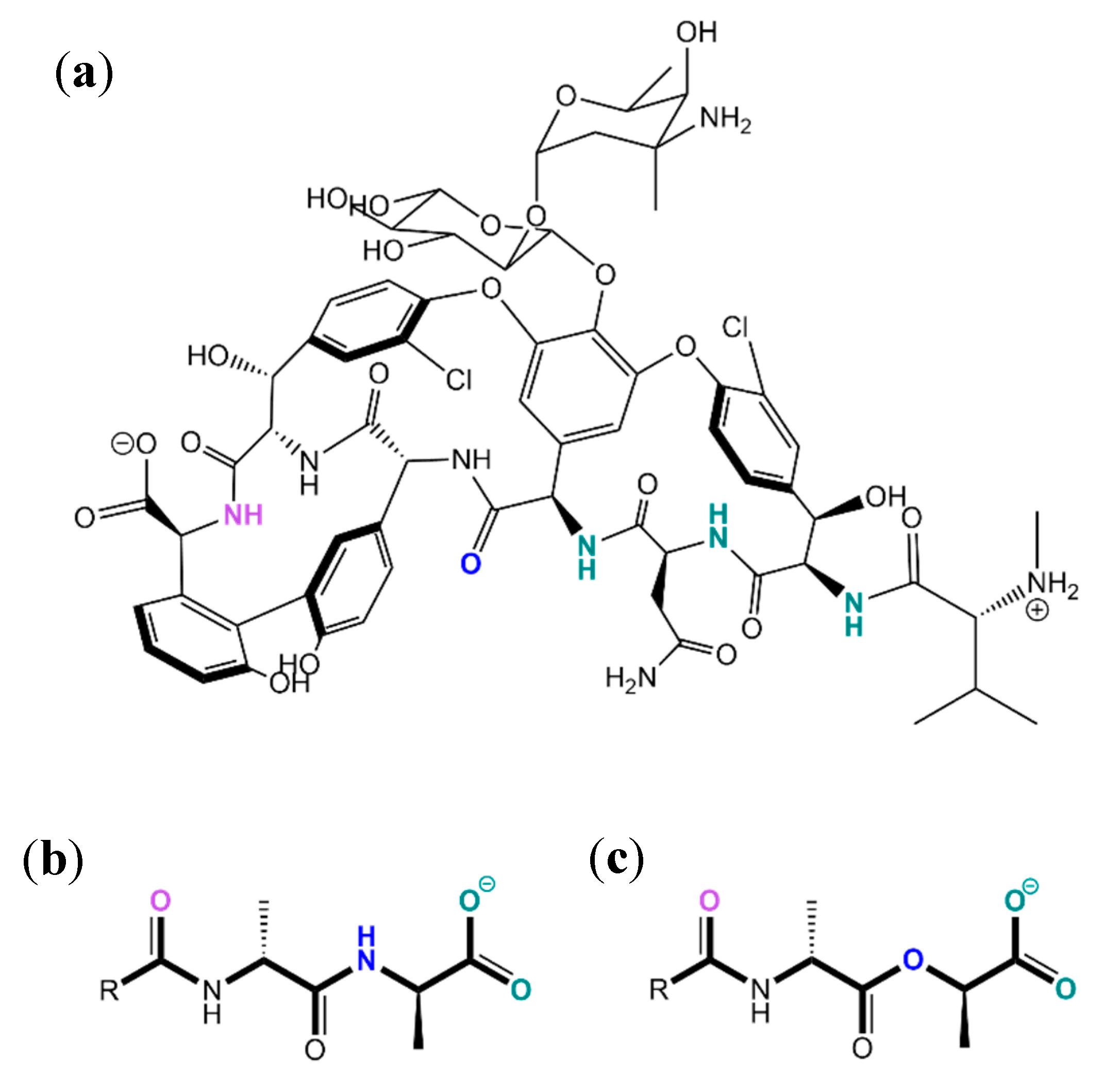Molecules 26 00106 g026